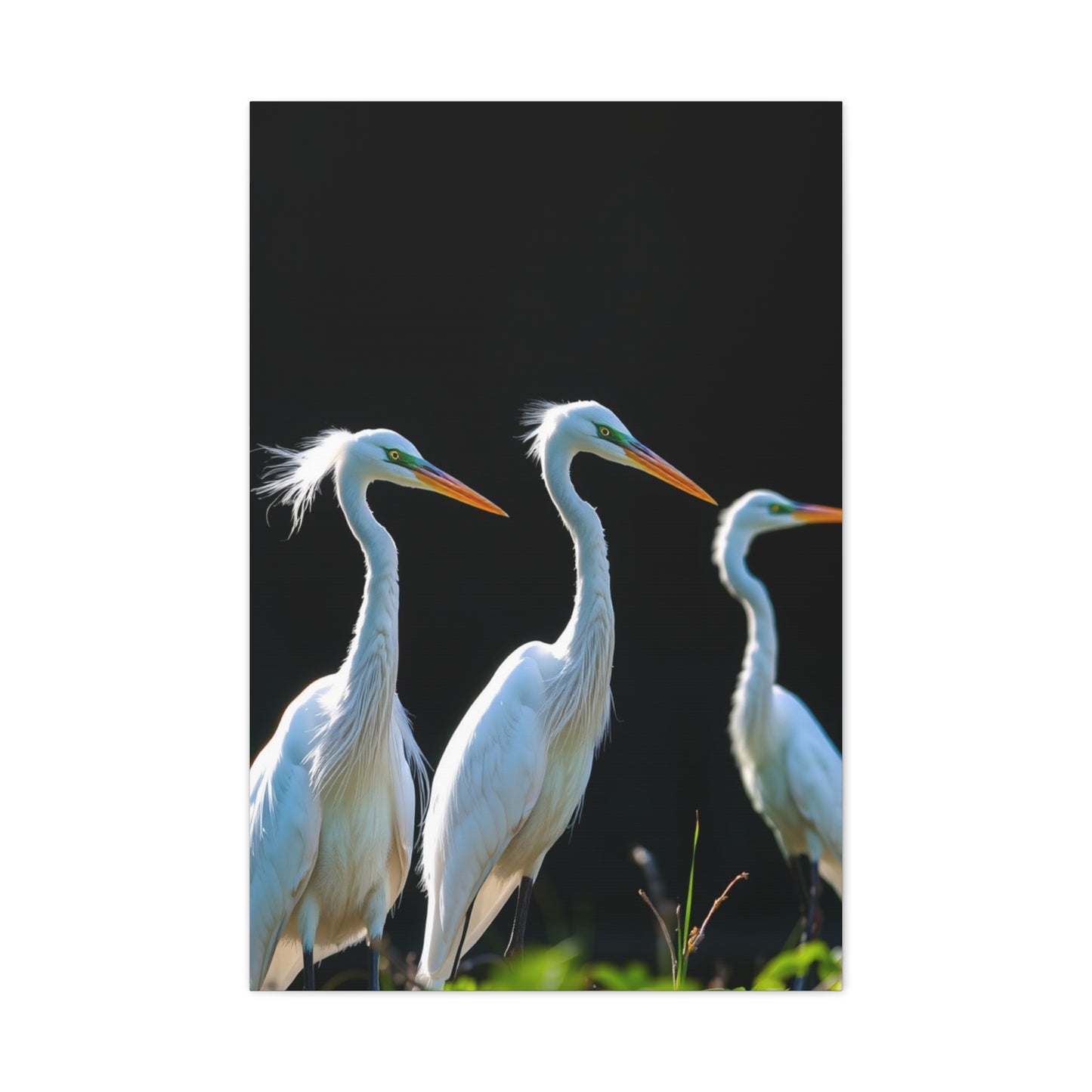 Vision Herons and Egrets Art Art Wall Art & Canvas Print