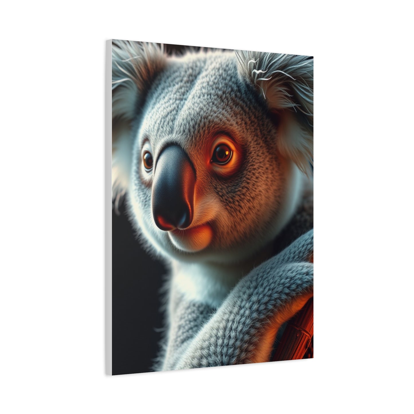 Koala Art Refined Canvas Wall Art & Canvas Print