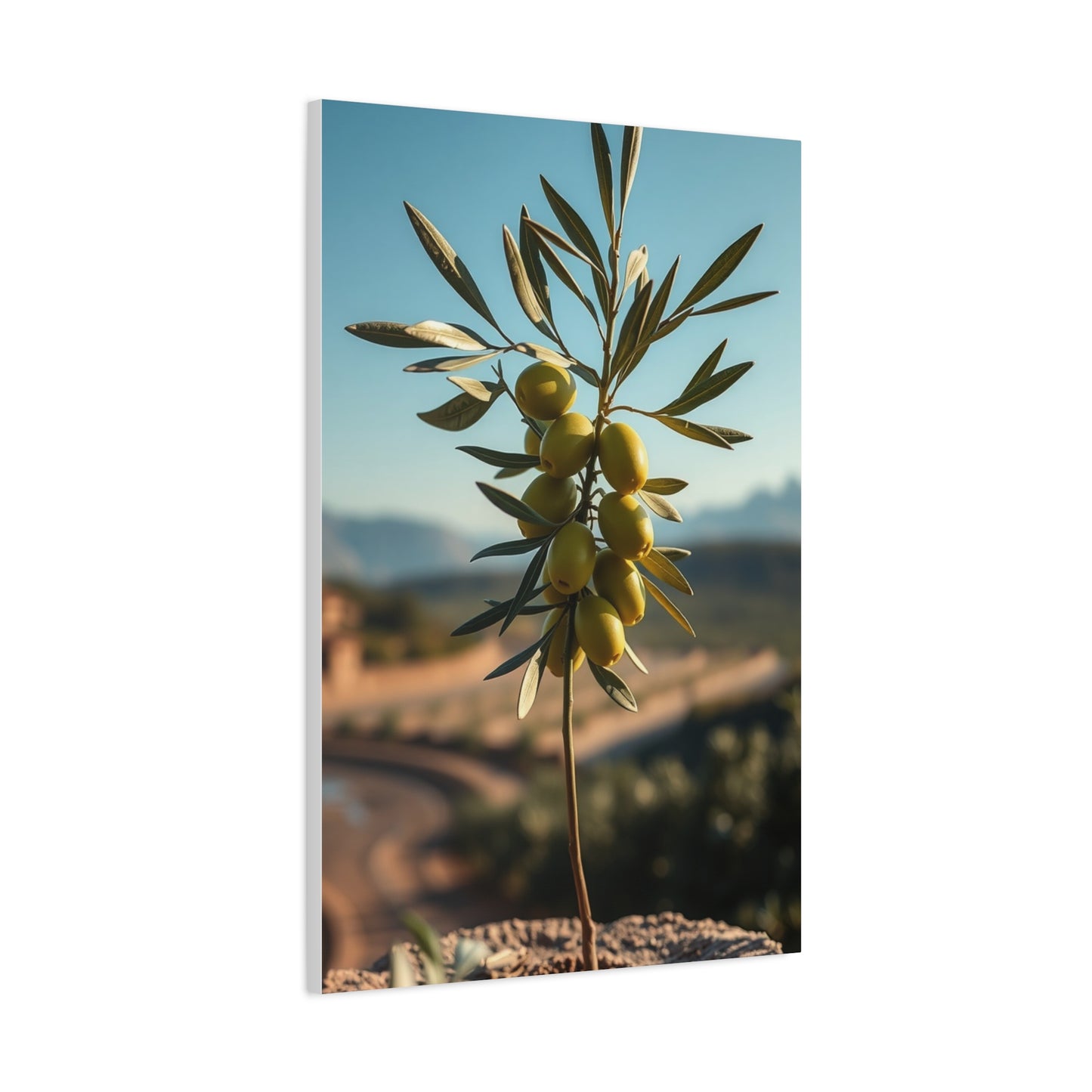 Sublime Verde Collection