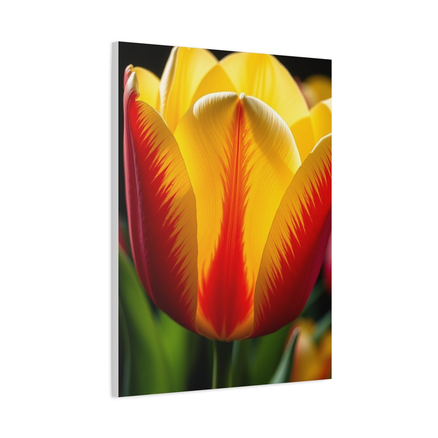 Tulip Flower Art Supreme Gallery Wall Art & Canvas Print