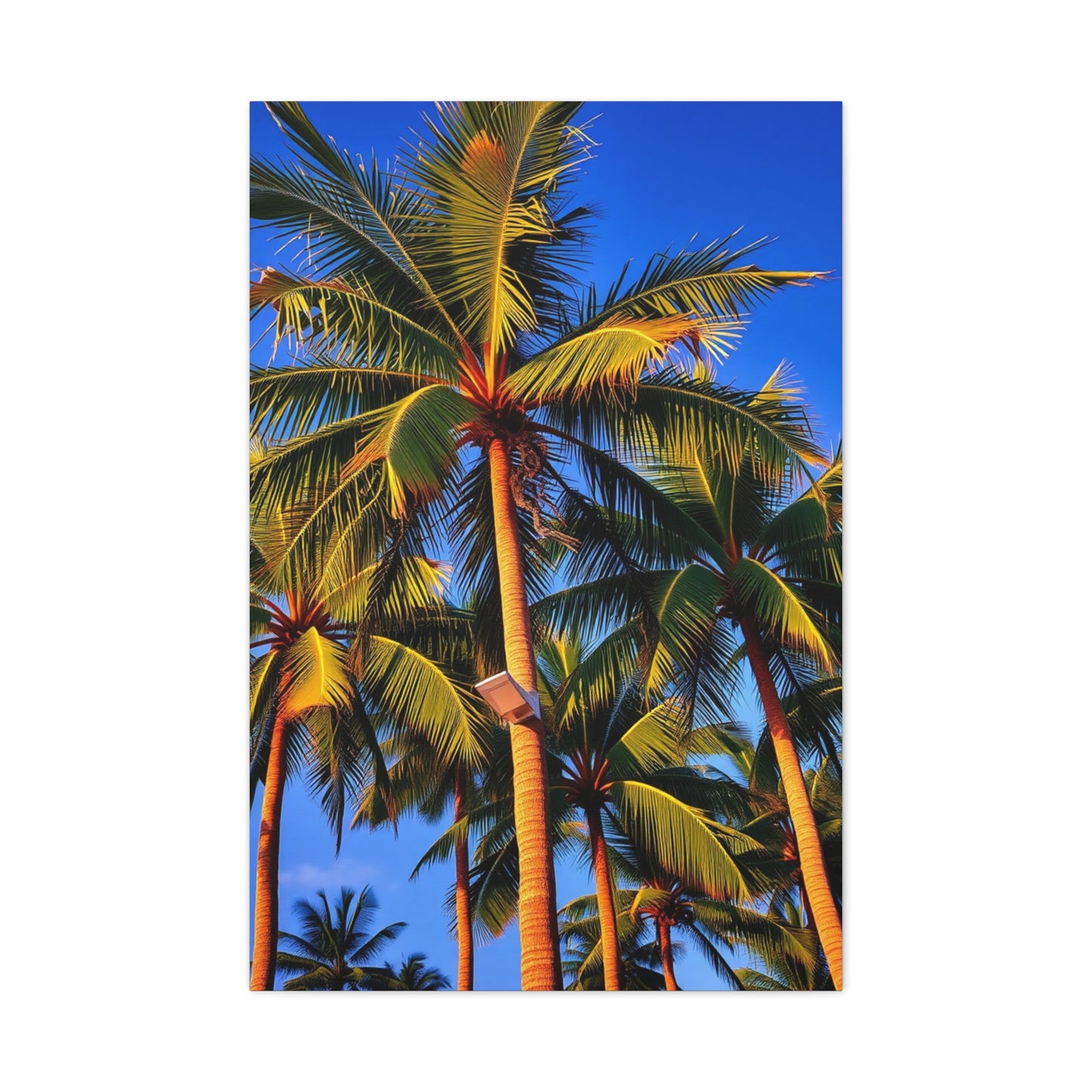 Sublime Tropics Canvas Wall Art & Canvas Print