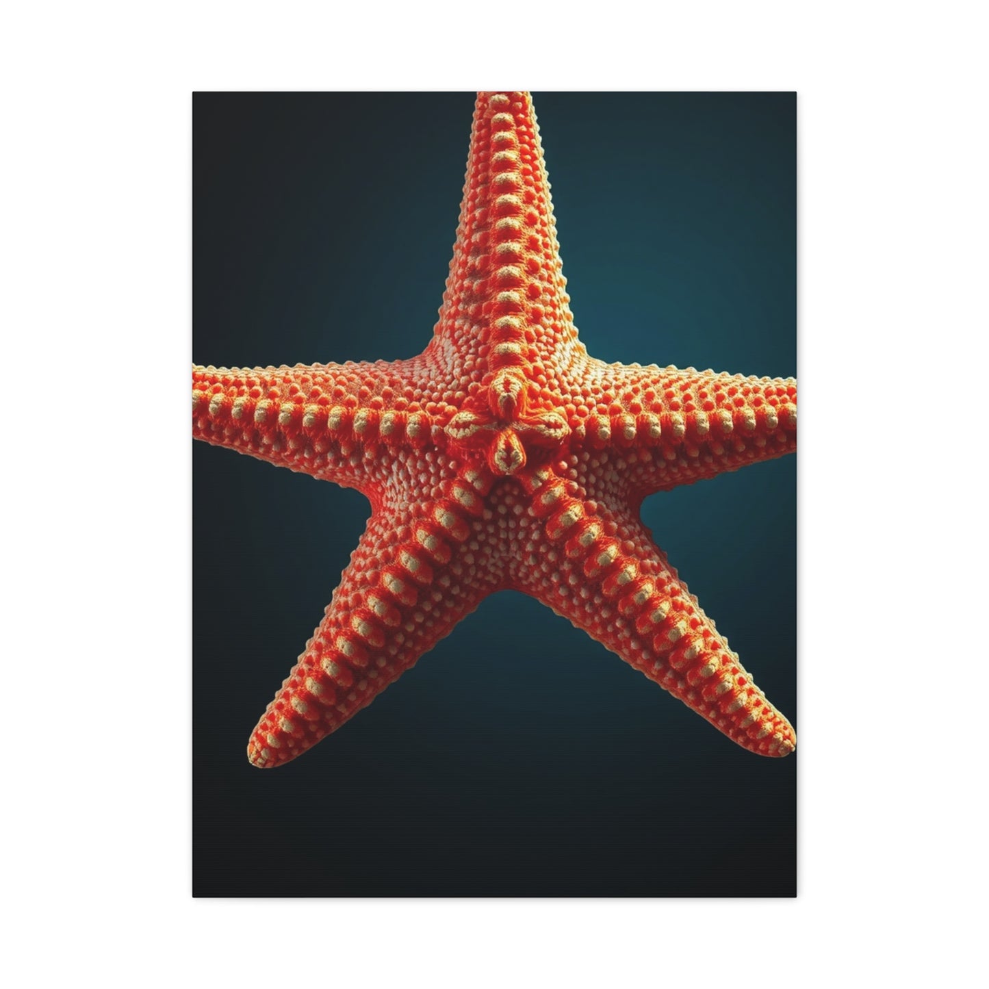 Elite Starfish Art Vision Wall Art & Canvas Print