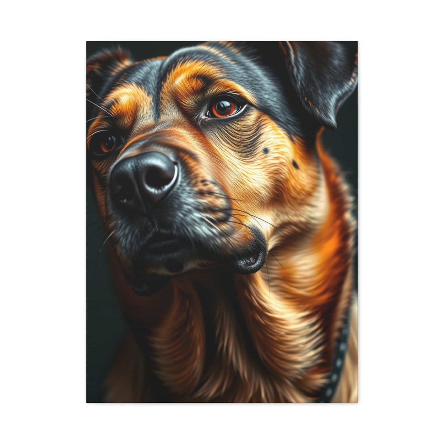 Black and Tan Art Supreme Gallery Wall Art & Canvas Print