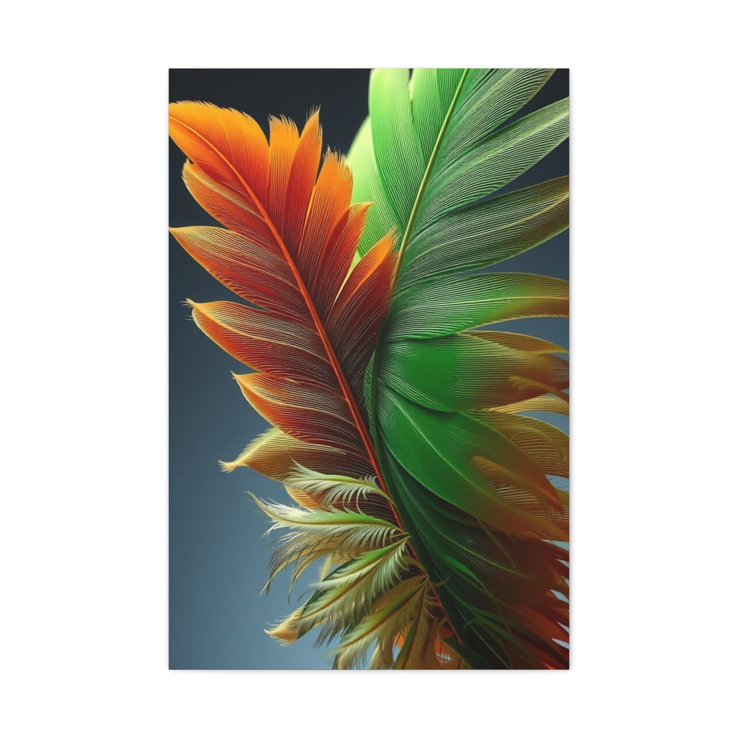 Supreme Feather Art Collection Wall Art & Canvas Print