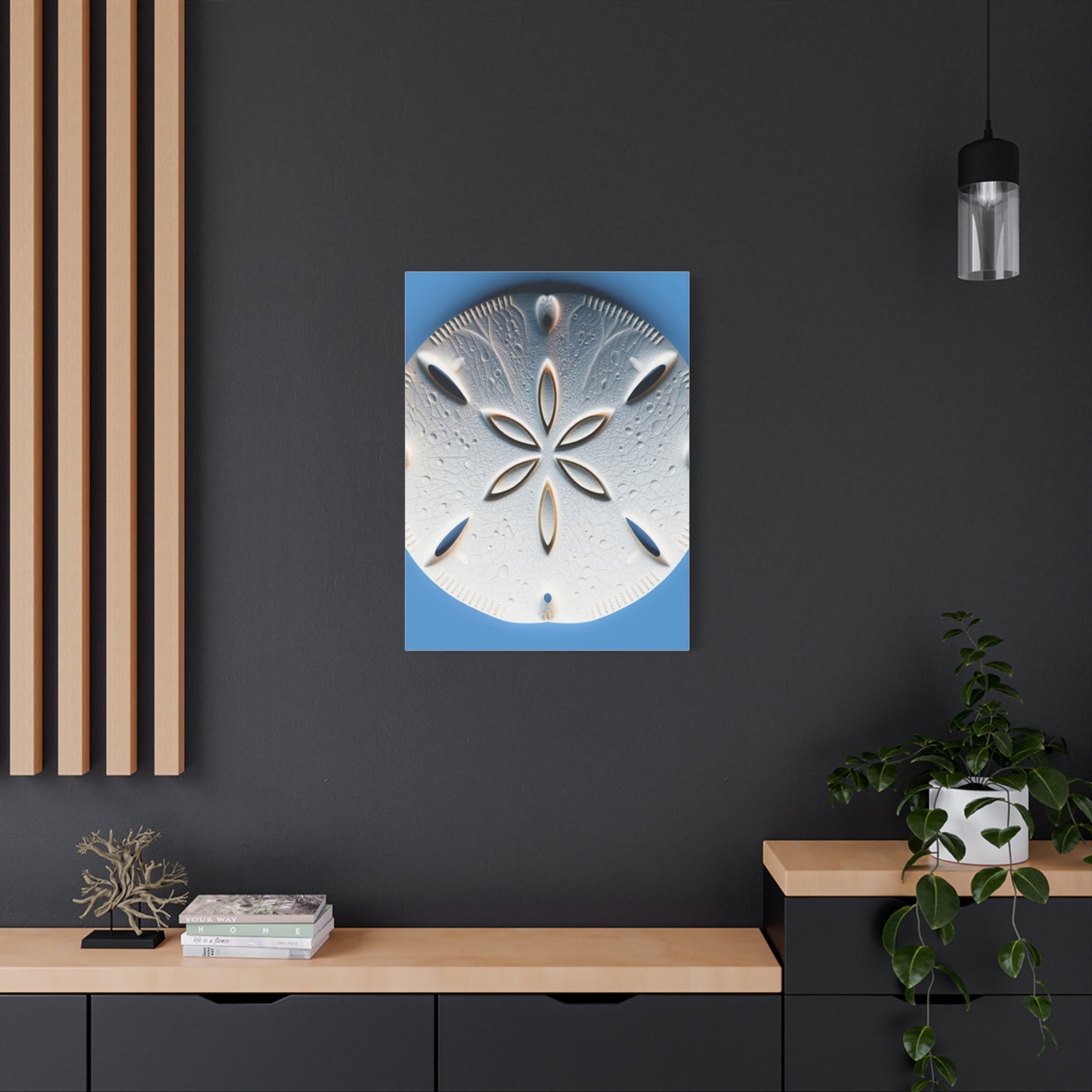 Sand Dollar Art Supreme Gallery Wall Art & Canvas Print