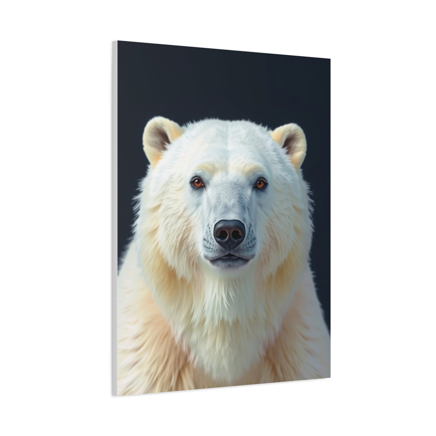 Supreme Polar Bear Art Collection Wall Art & Canvas Print