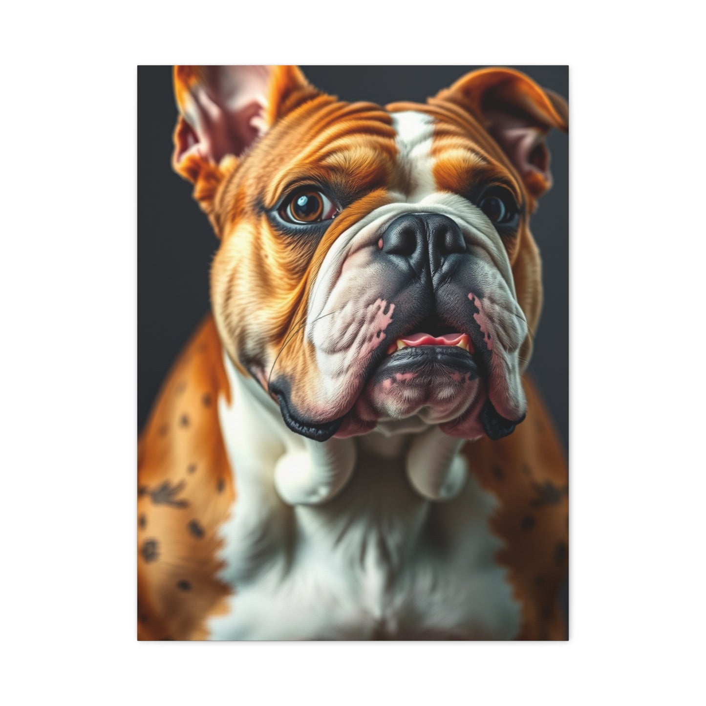 Bulldog Art Luxury Canvas Wall Art & Canvas Print