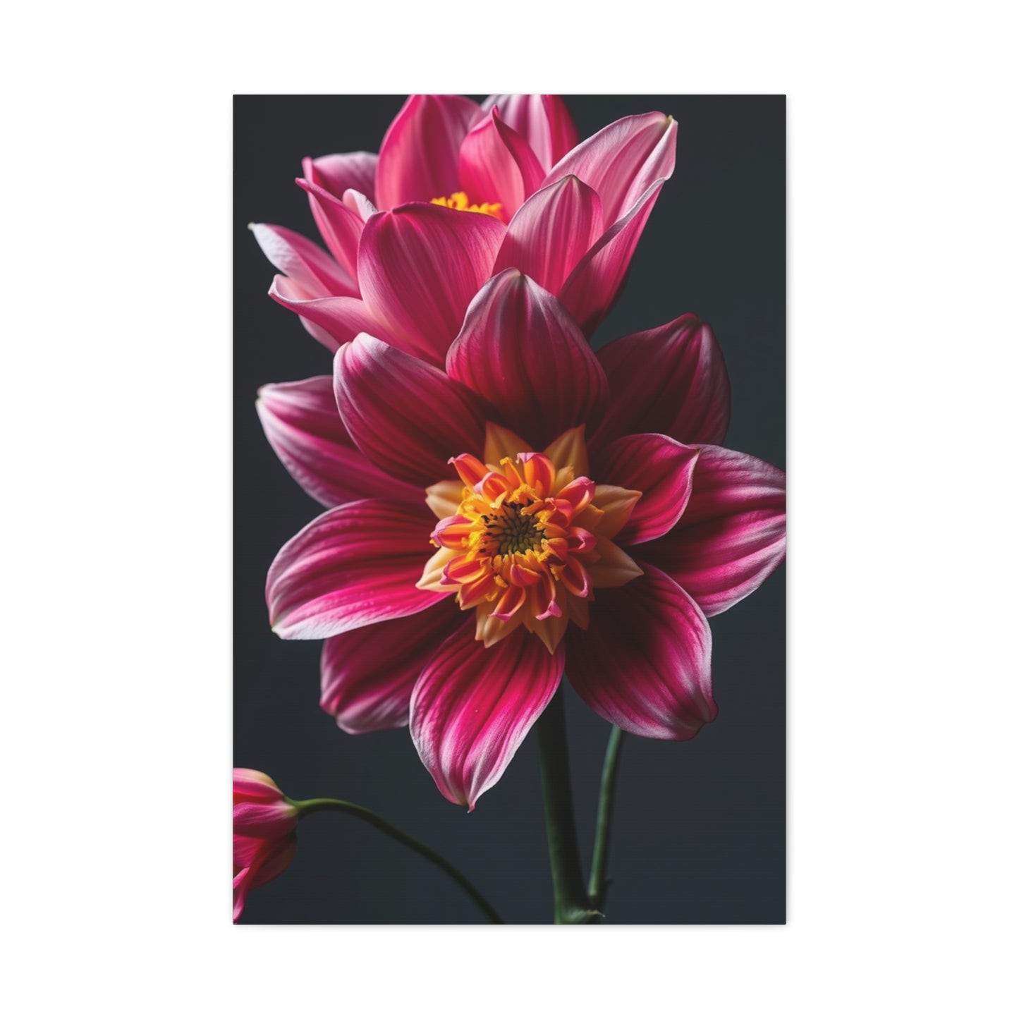 Edens Bloom Artwork Wall Art & Canvas Print