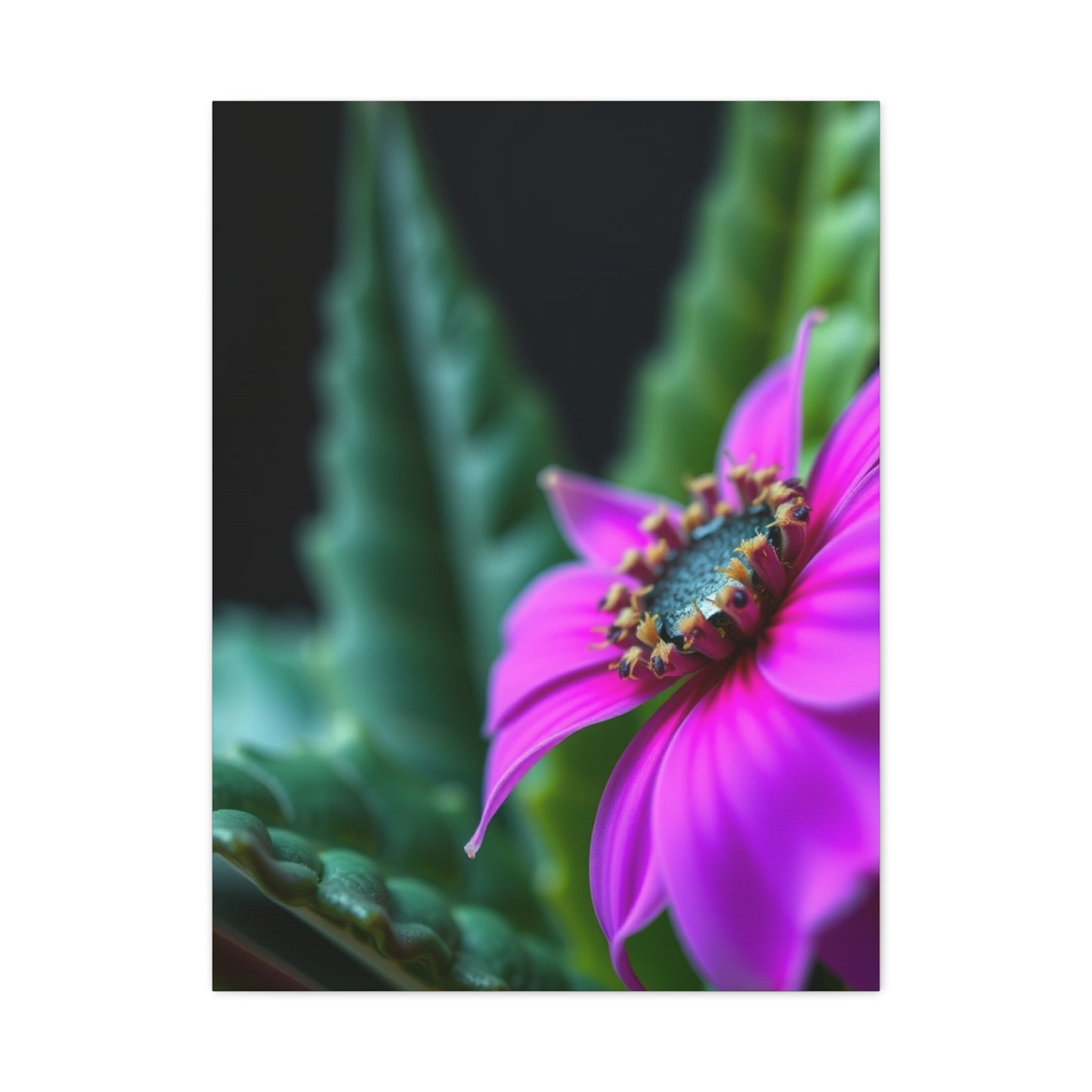 Nature Closeups Art Refined Canvas Wall Art & Canvas Print