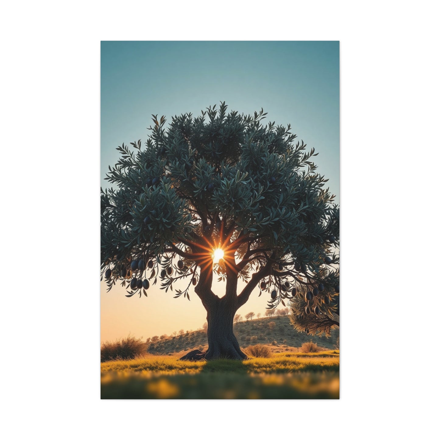 Collection Olive Tree Art Art Wall Art & Canvas Print