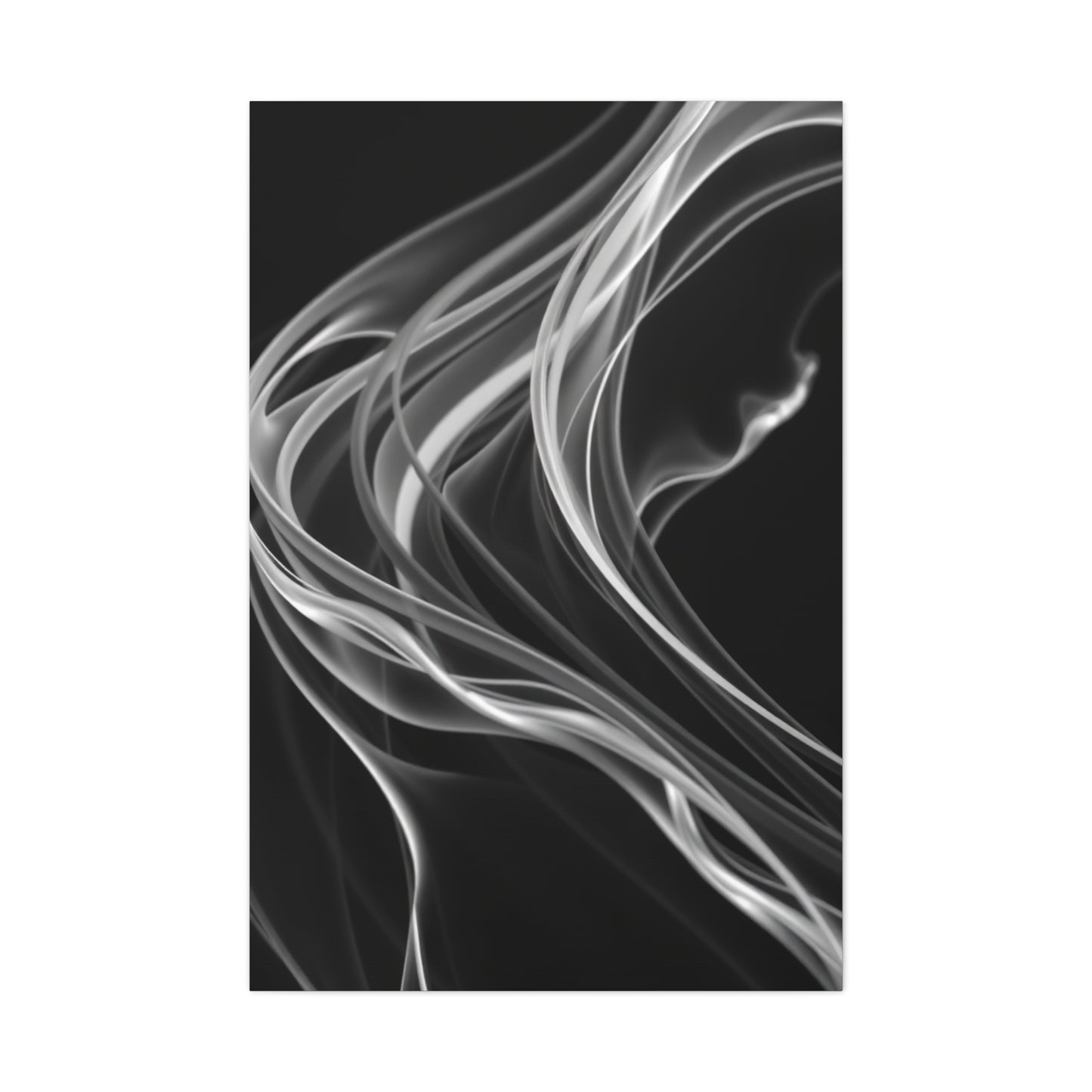 Vision Black and White Abstract Art Art Wall Art & Canvas Print