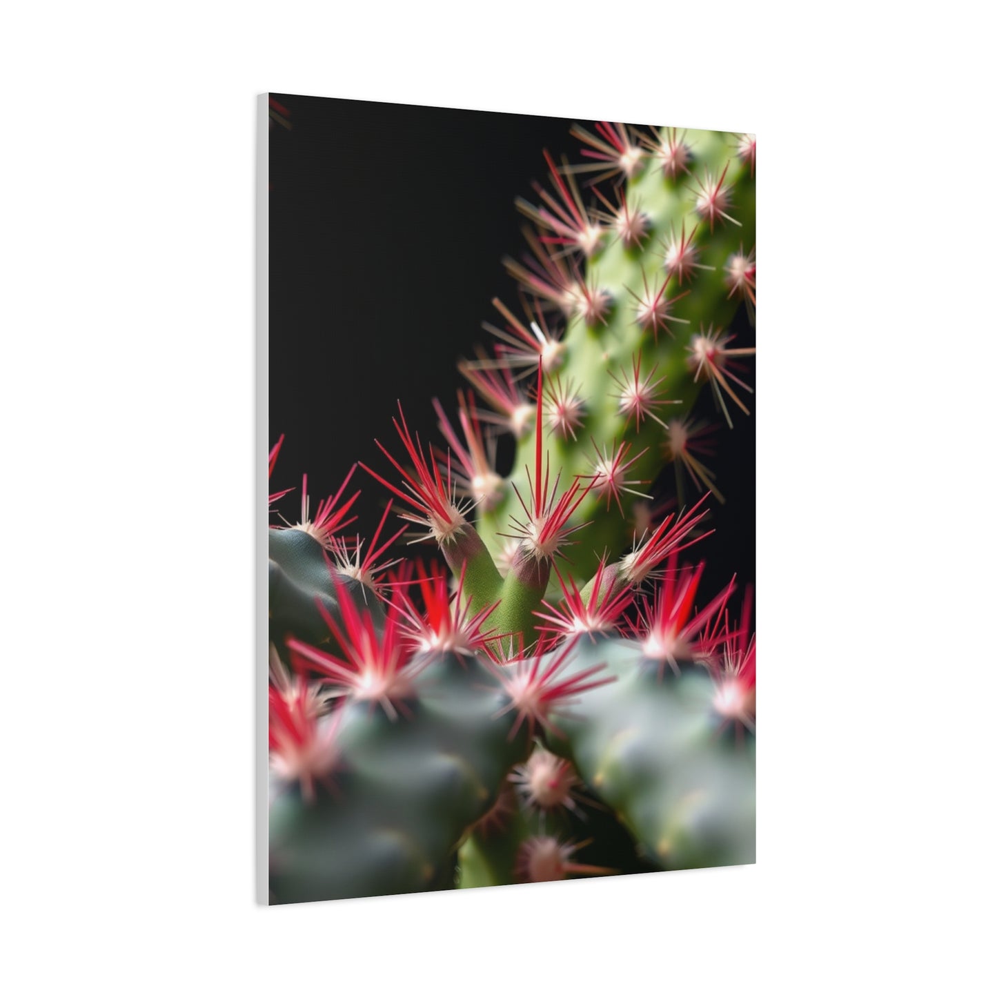 Succulent Symphony Wall Art Wall Art & Canvas Print