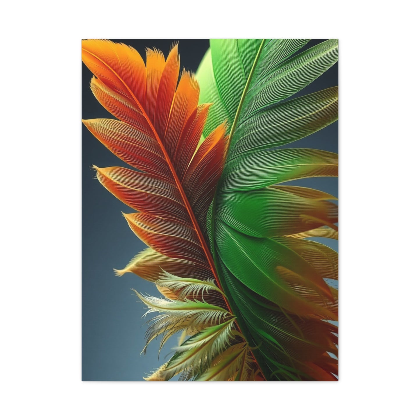 Supreme Feather Art Collection Wall Art & Canvas Print