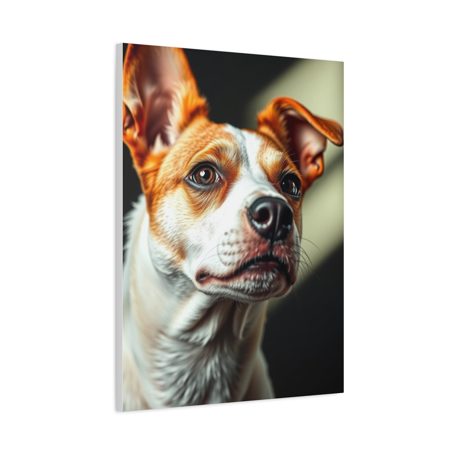 Supreme Jack Russell Terrier Art Collection Wall Art & Canvas Print
