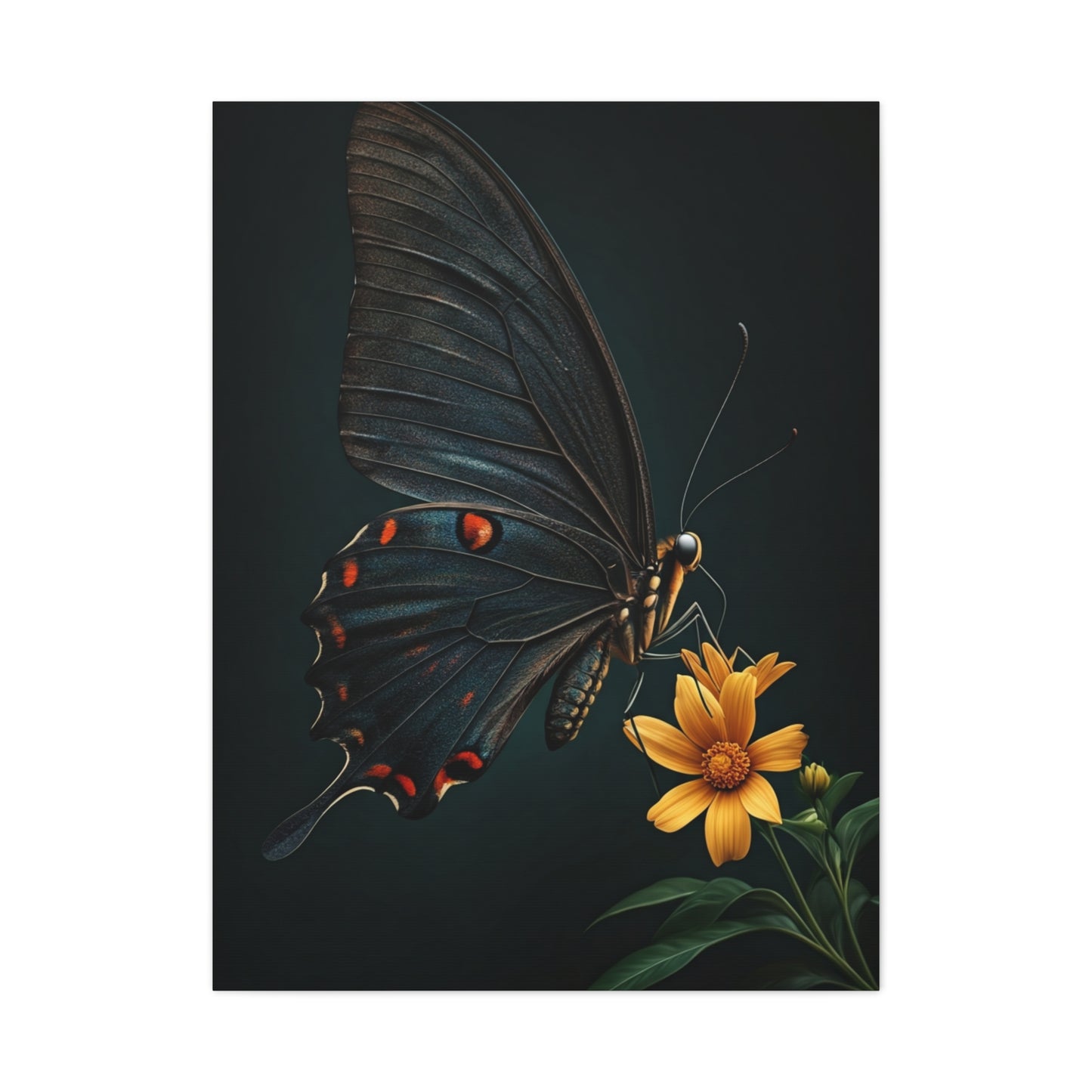 Midnight Black Butterfly On Wildflower Wall Art & Canvas Prints