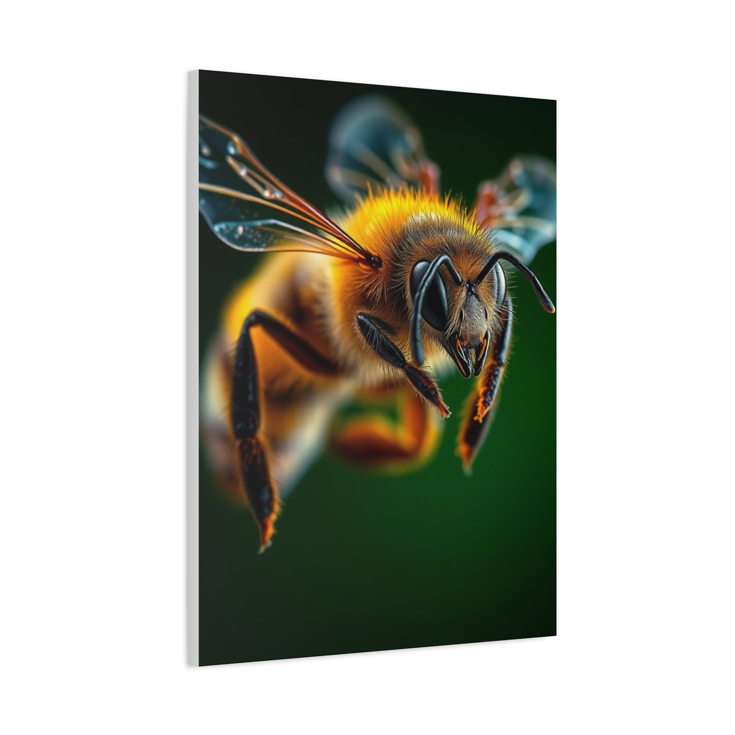 Supreme Bees Art Collection Wall Art & Canvas Print