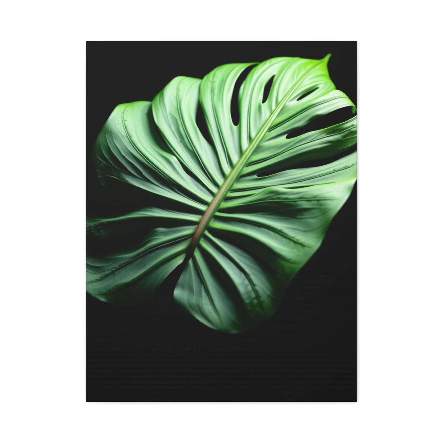 Monstera Plant Art Supreme Gallery Wall Art & Canvas Print