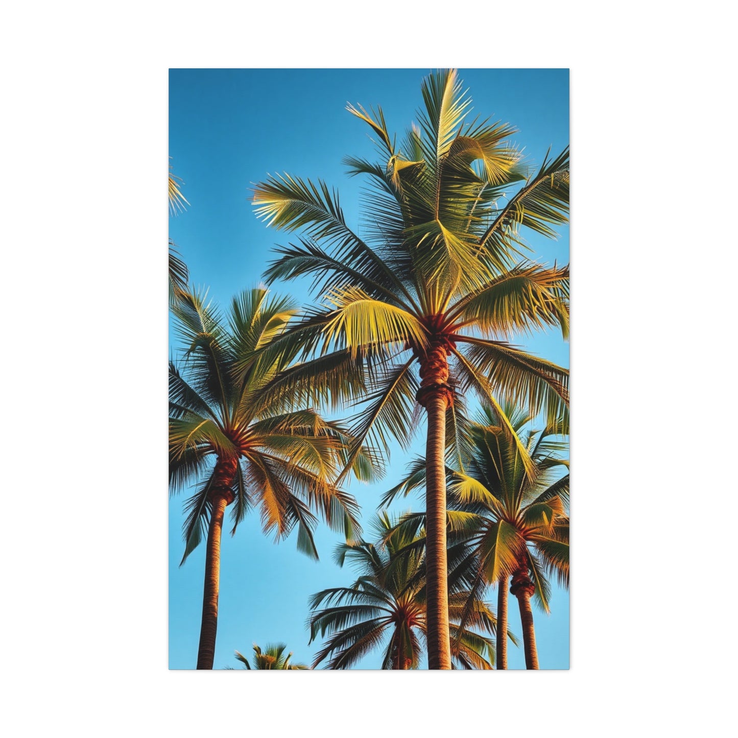 Tranquil Palmscape Wall Art & Canvas Print
