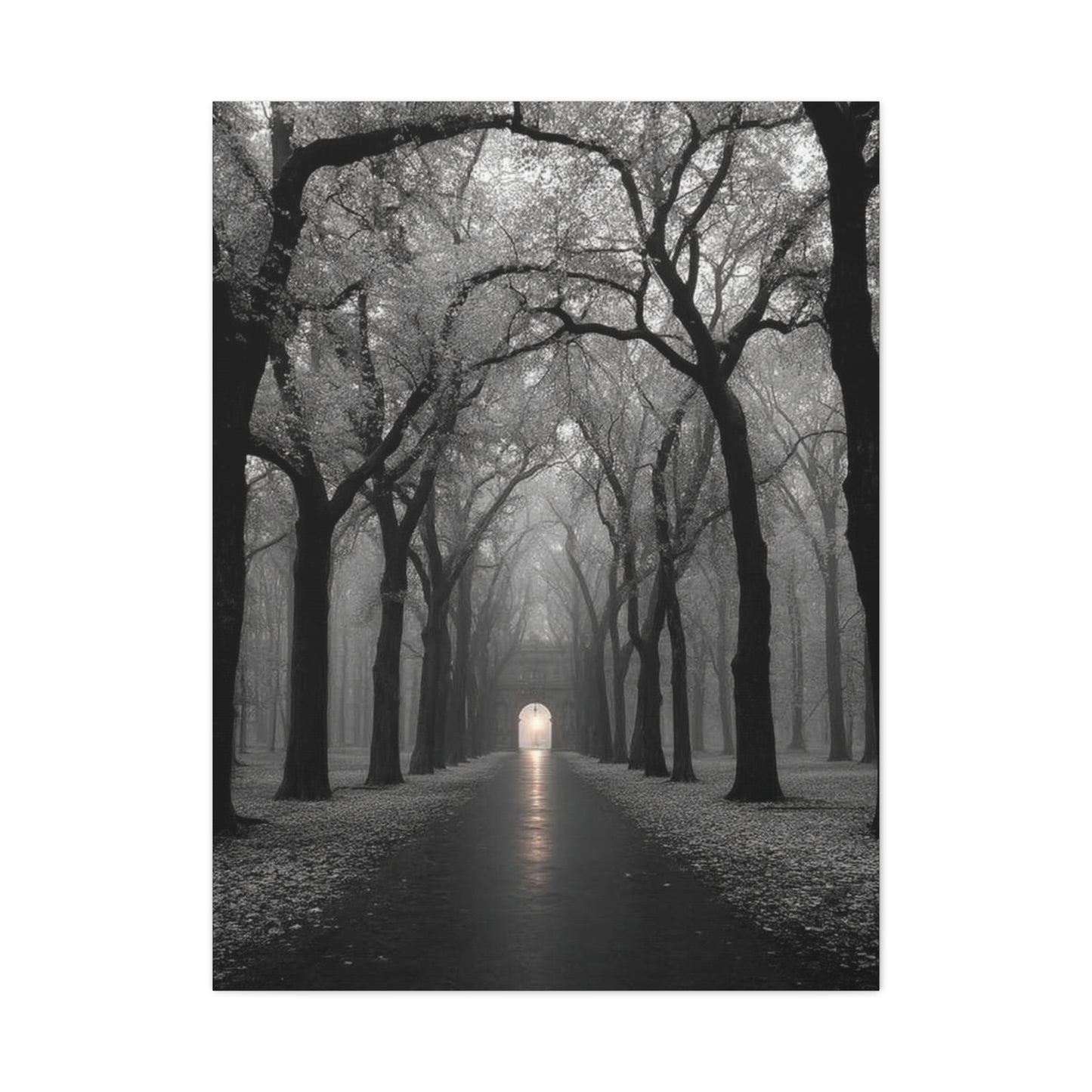 Misty Tree Avenue Monochrome Wall Art & Canvas Print