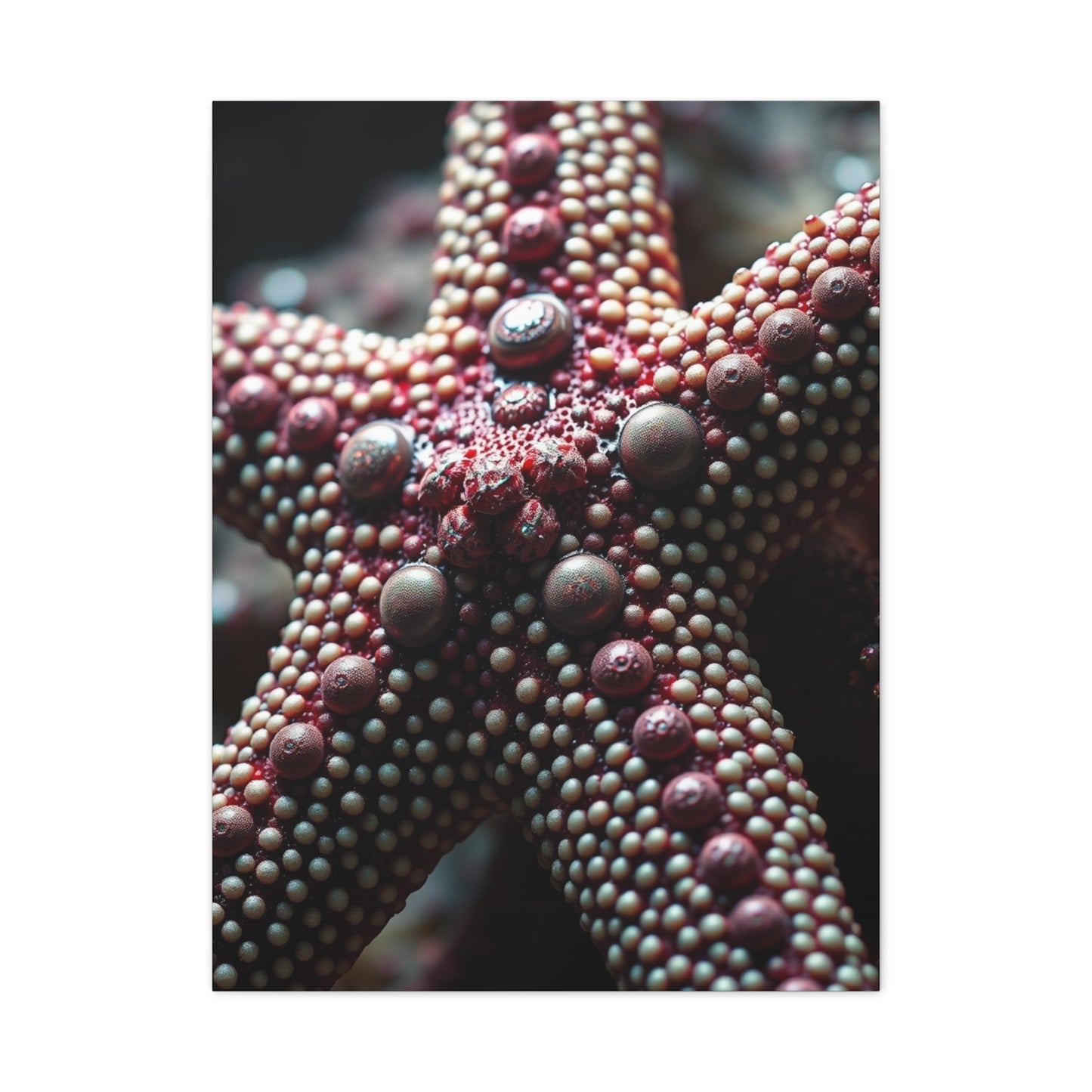 Starfish Art Luxury Canvas Wall Art & Canvas Print