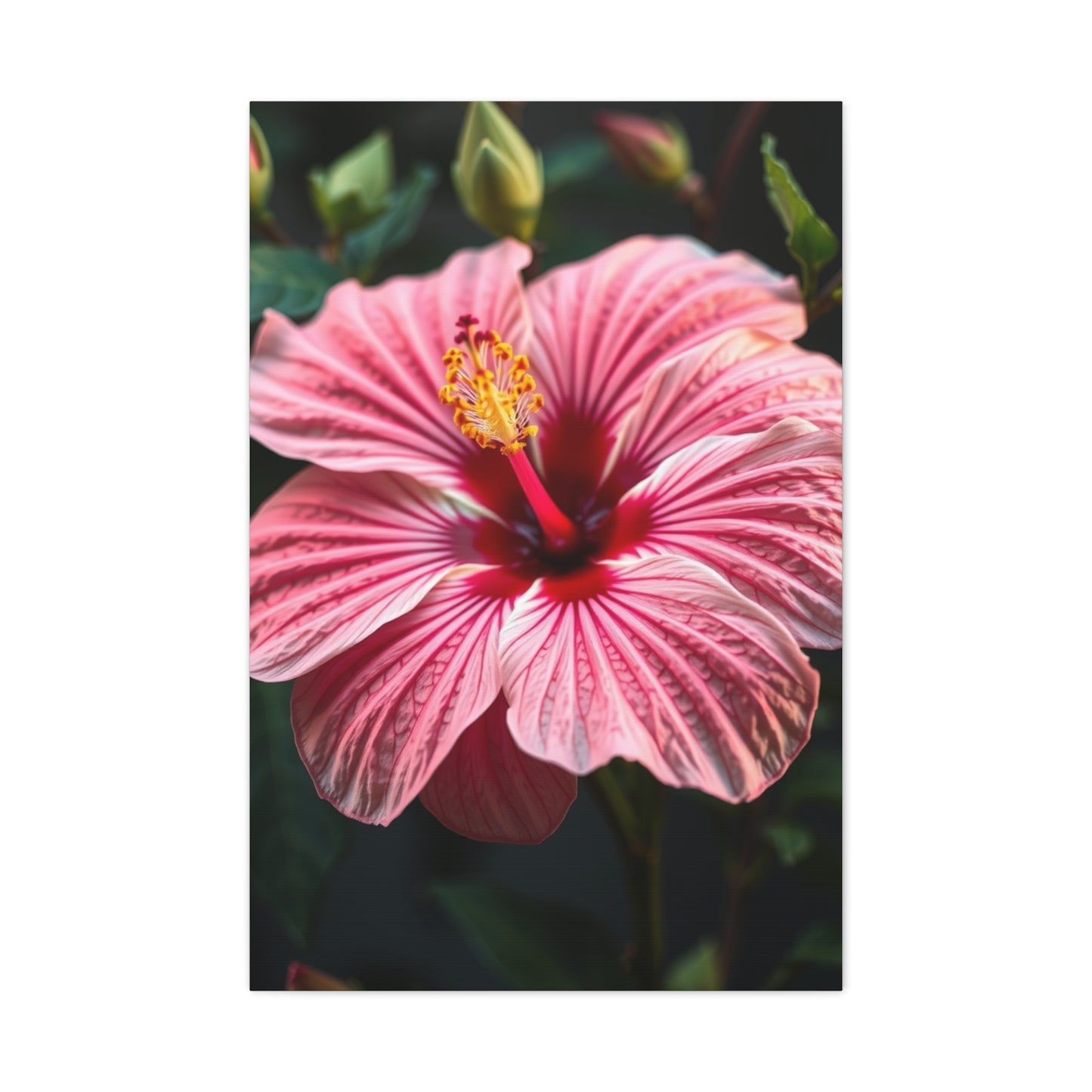 Supreme Hibiscus Flower Art Collection Wall Art & Canvas Print
