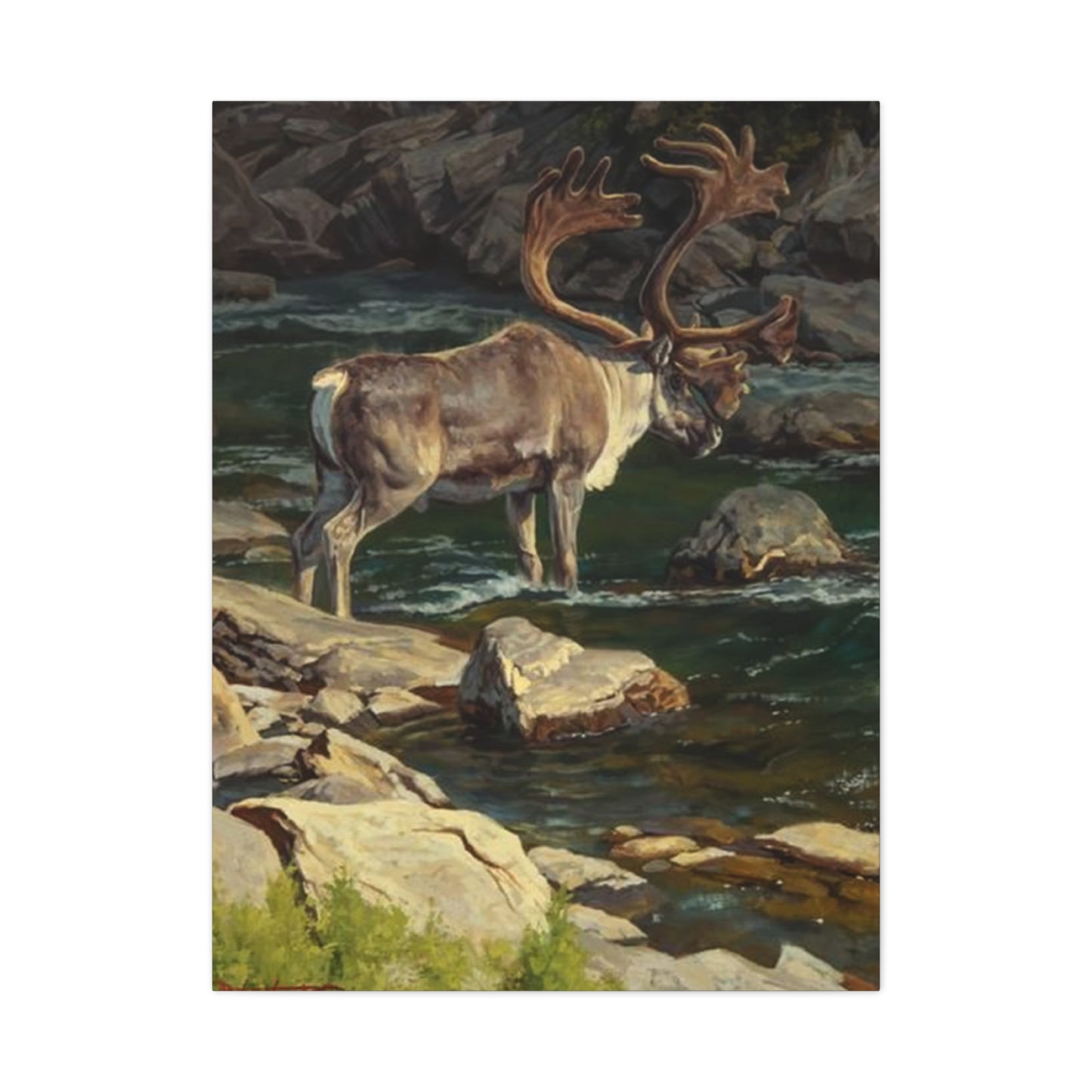 Reindeer Photography Wall Art & Canvas Prints