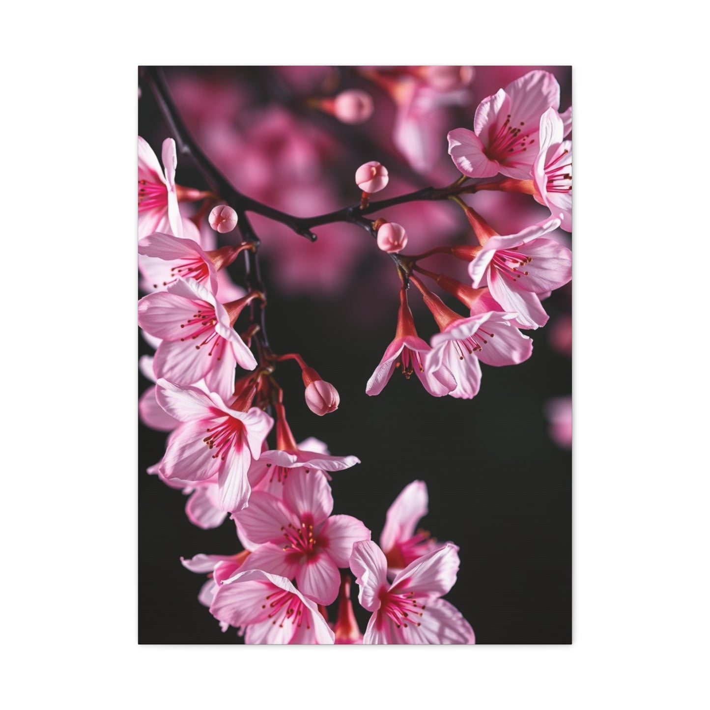 Supreme Cherry Blossom Wall Art Collection Wall Art & Canvas Print
