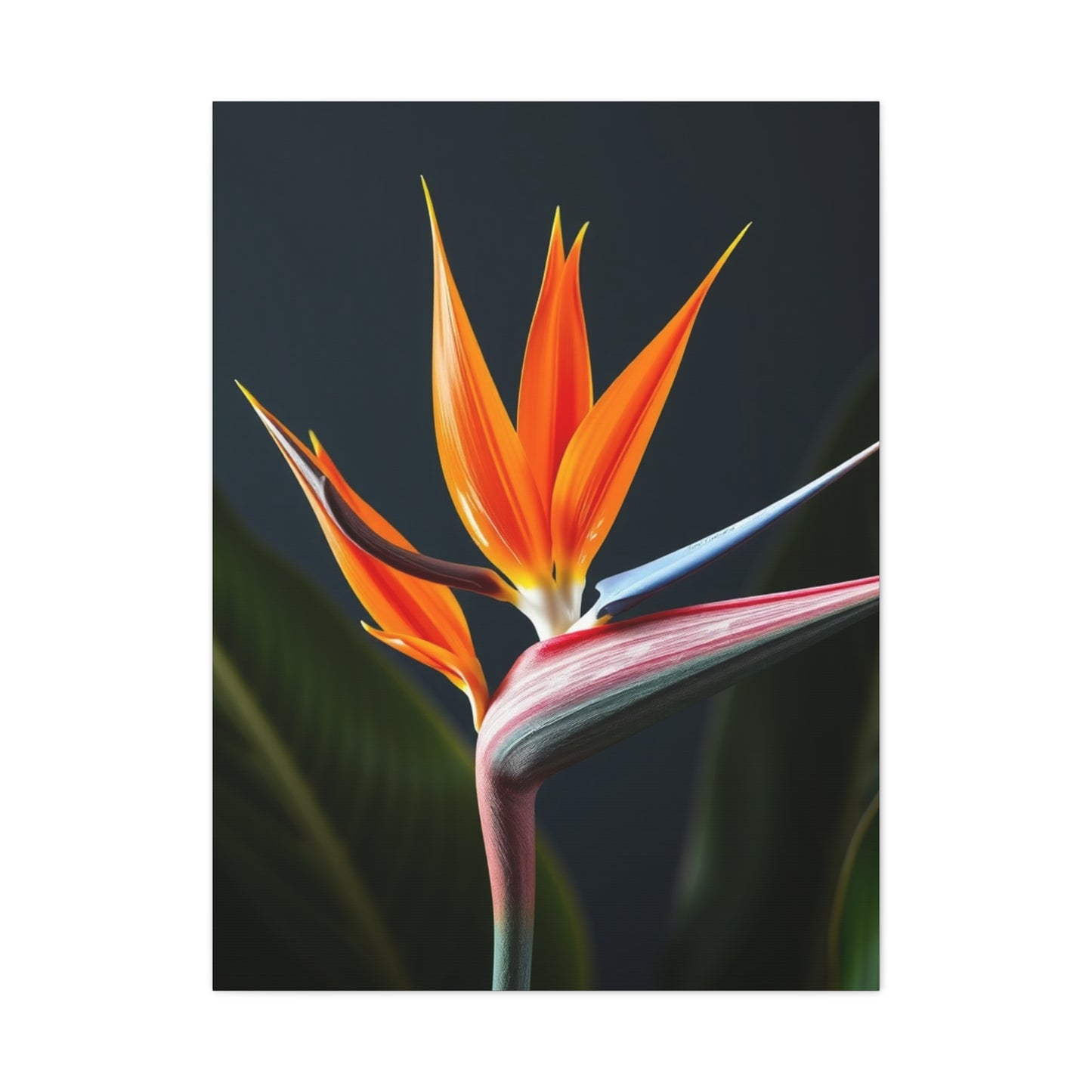Supreme Bird of Paradise Plant Art Collection Wall Art & Canvas Print
