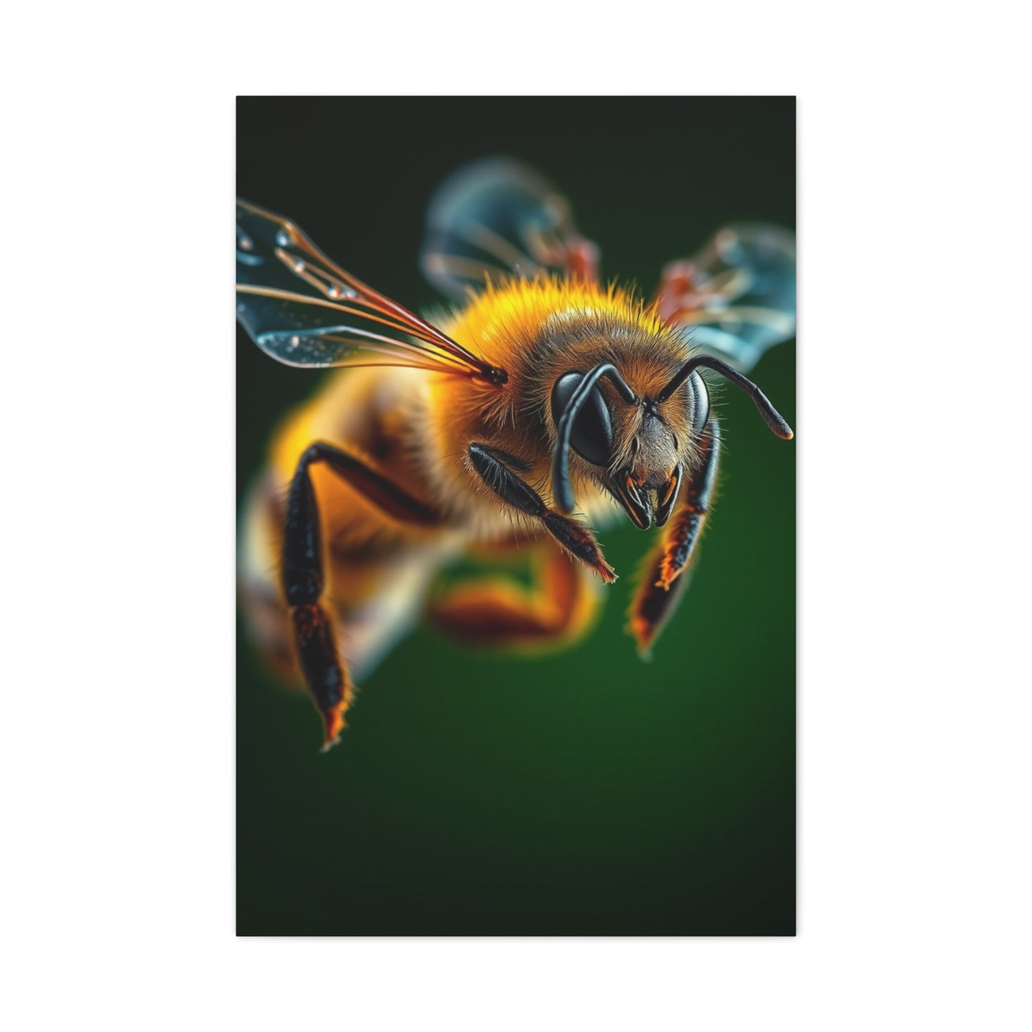 Supreme Bees Art Collection Wall Art & Canvas Print