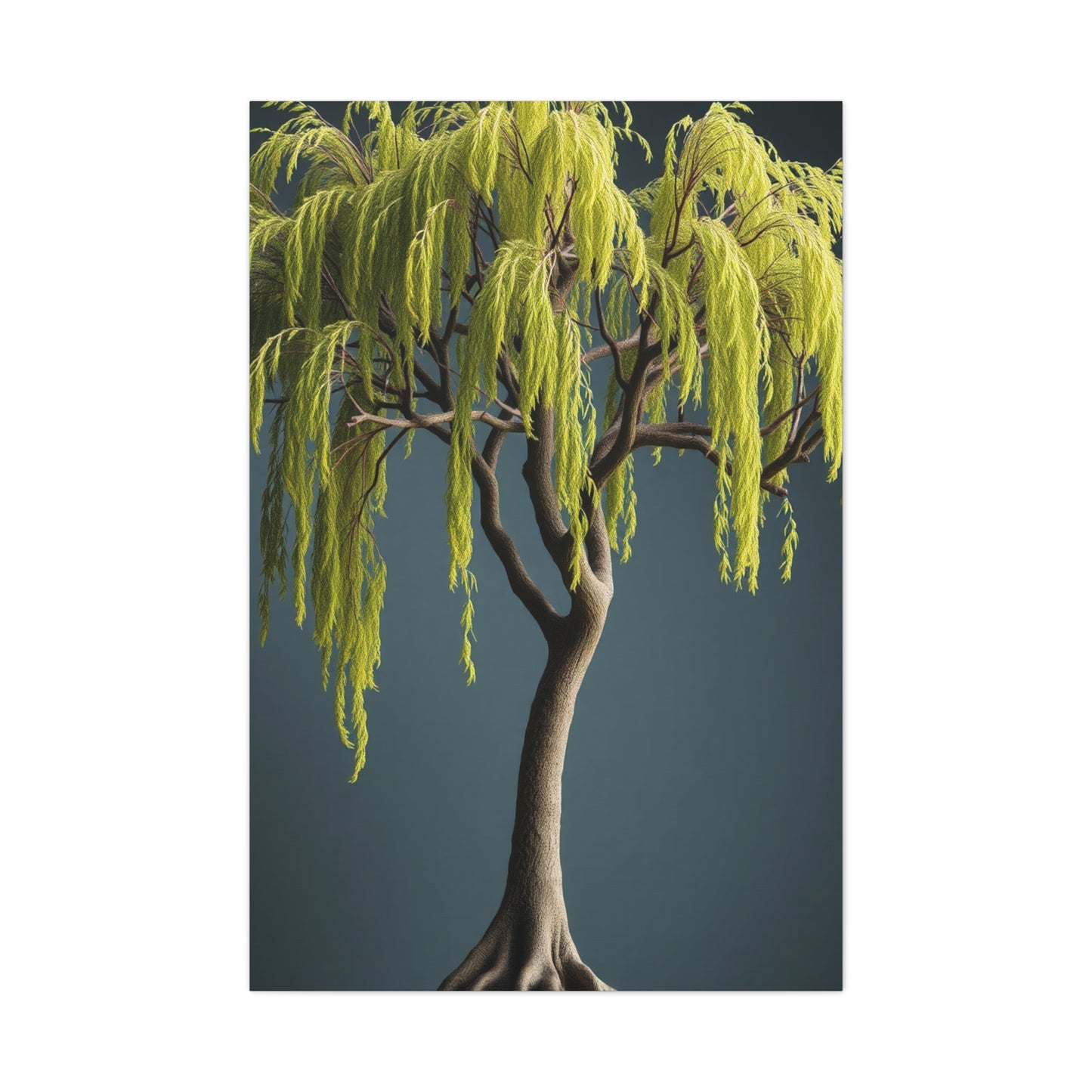 Willow Tree Art Luxury Canvas Wall Art & Canvas Print