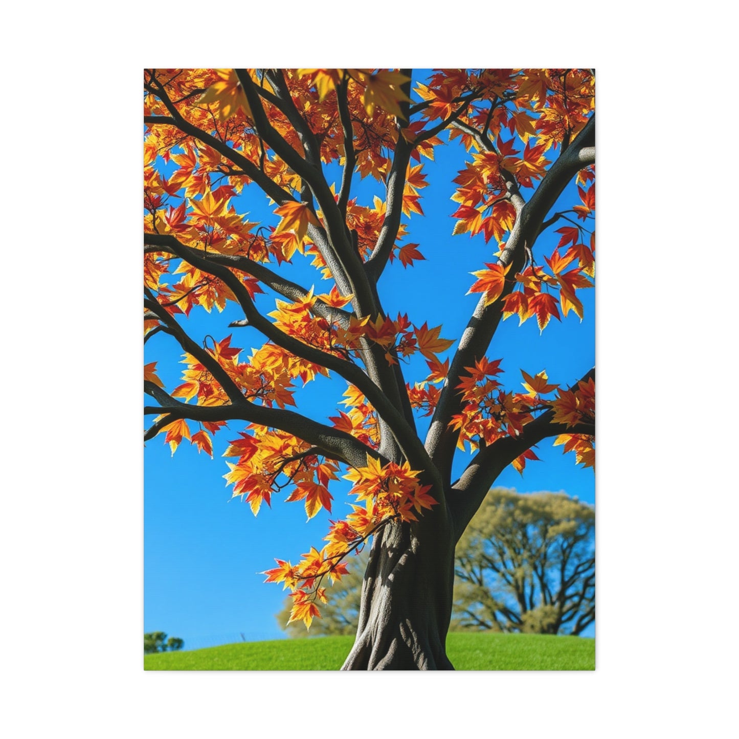 Supreme Maple Tree Art Collection Wall Art & Canvas Print