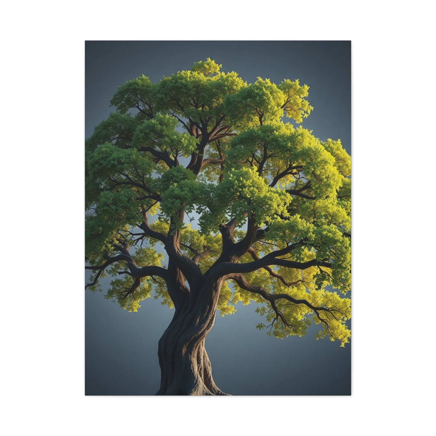 Supreme Oak Tree Art Collection Wall Art & Canvas Print