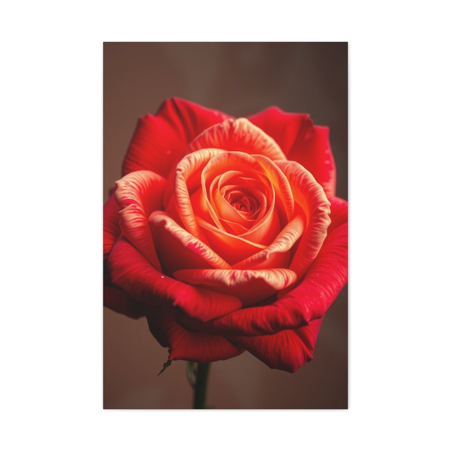 Supreme Rose Flower Art Collection Wall Art & Canvas Print
