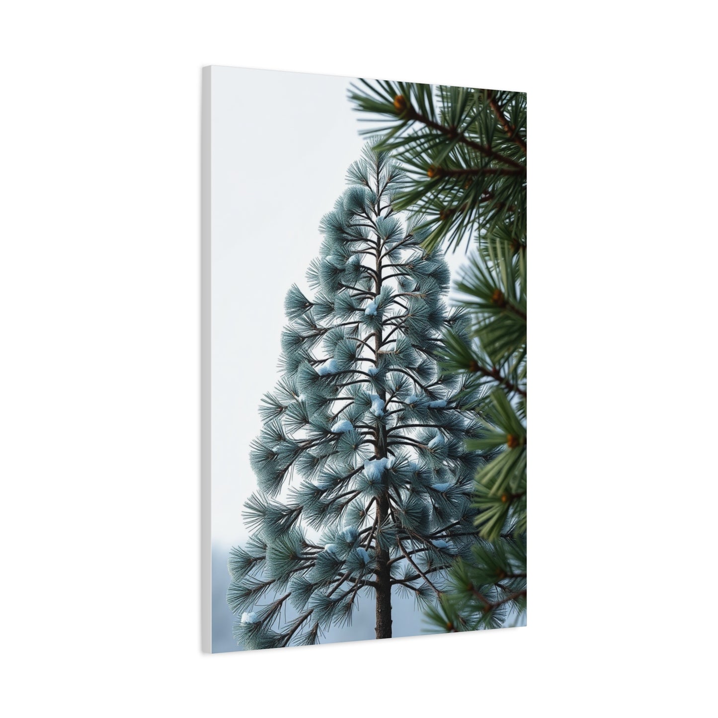 Masterpiece Pine Tree Art Vision Wall Art & Canvas Print