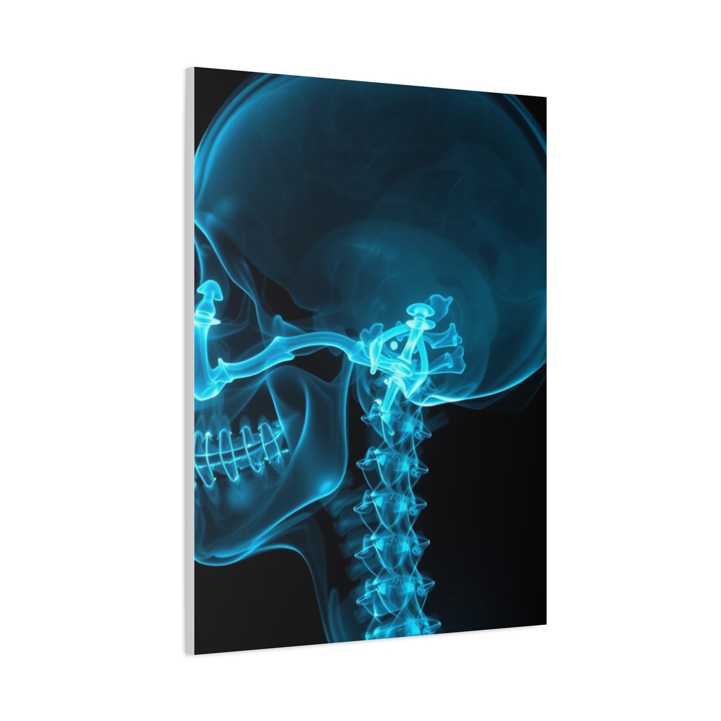 Masterpiece X-Ray Photography Art Vision Wall Art & Canvas Print