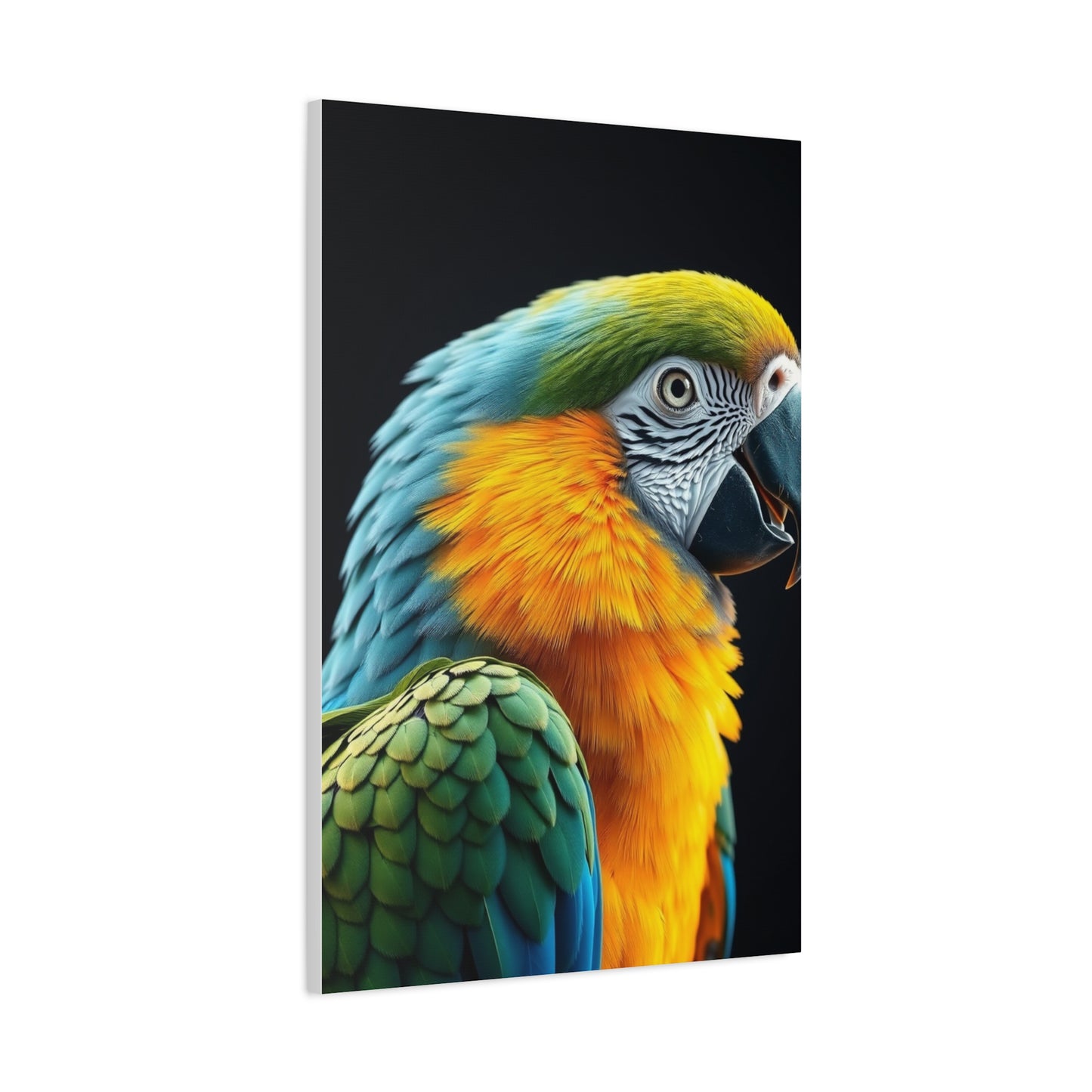 Parrot Art Luxury Canvas Wall Art & Canvas Print