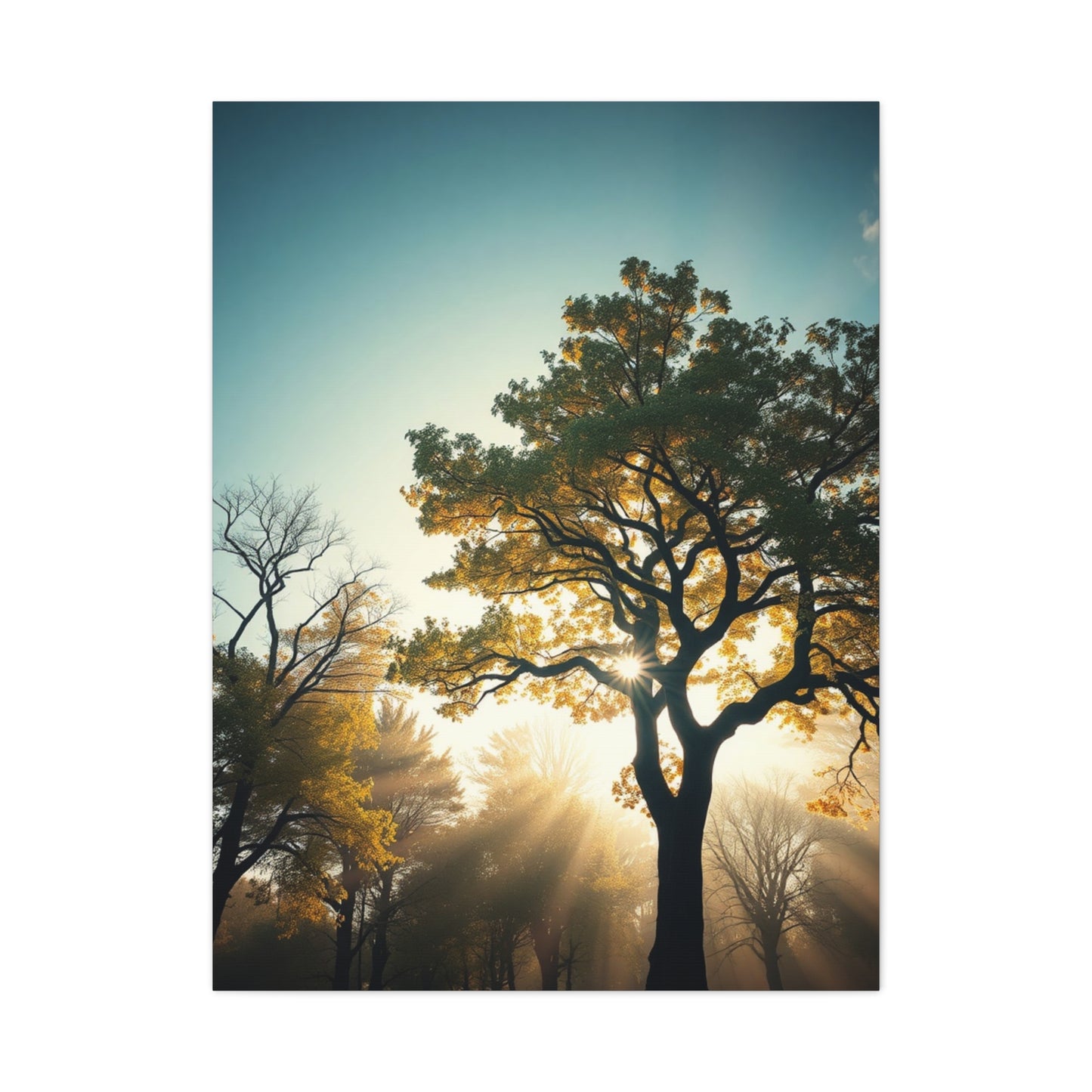 Serene Timberland Canvas Wall Art & Canvas Print