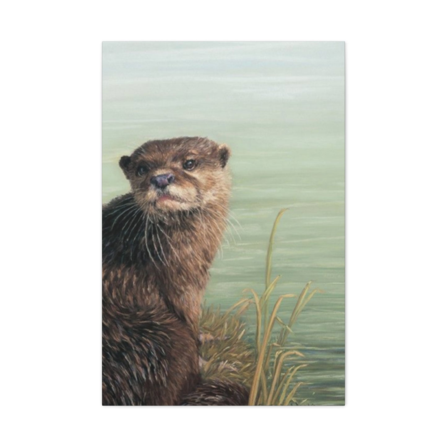 Otter Wall Art & Canvas Prints