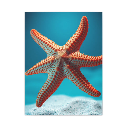 Starfish Art Supreme Gallery Wall Art & Canvas Print