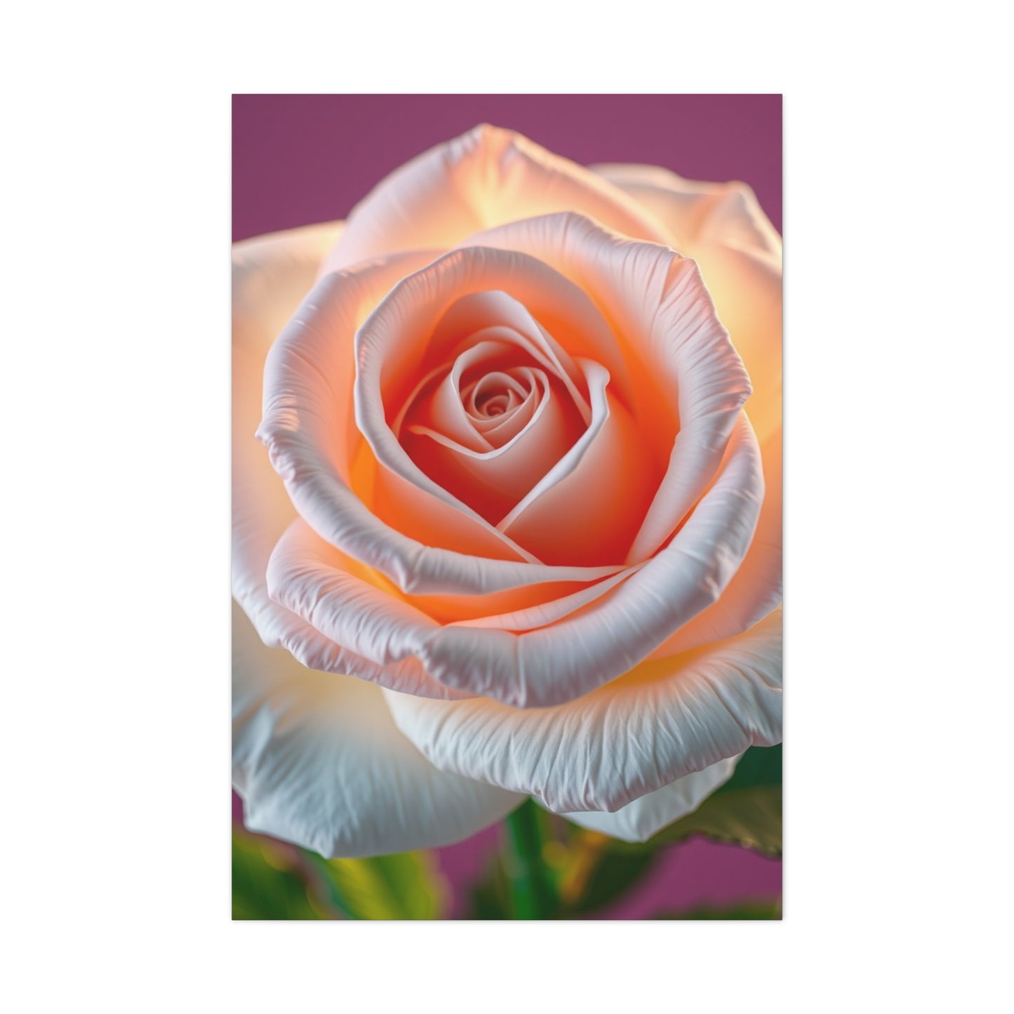 Rose Art Supreme Gallery Wall Art & Canvas Print
