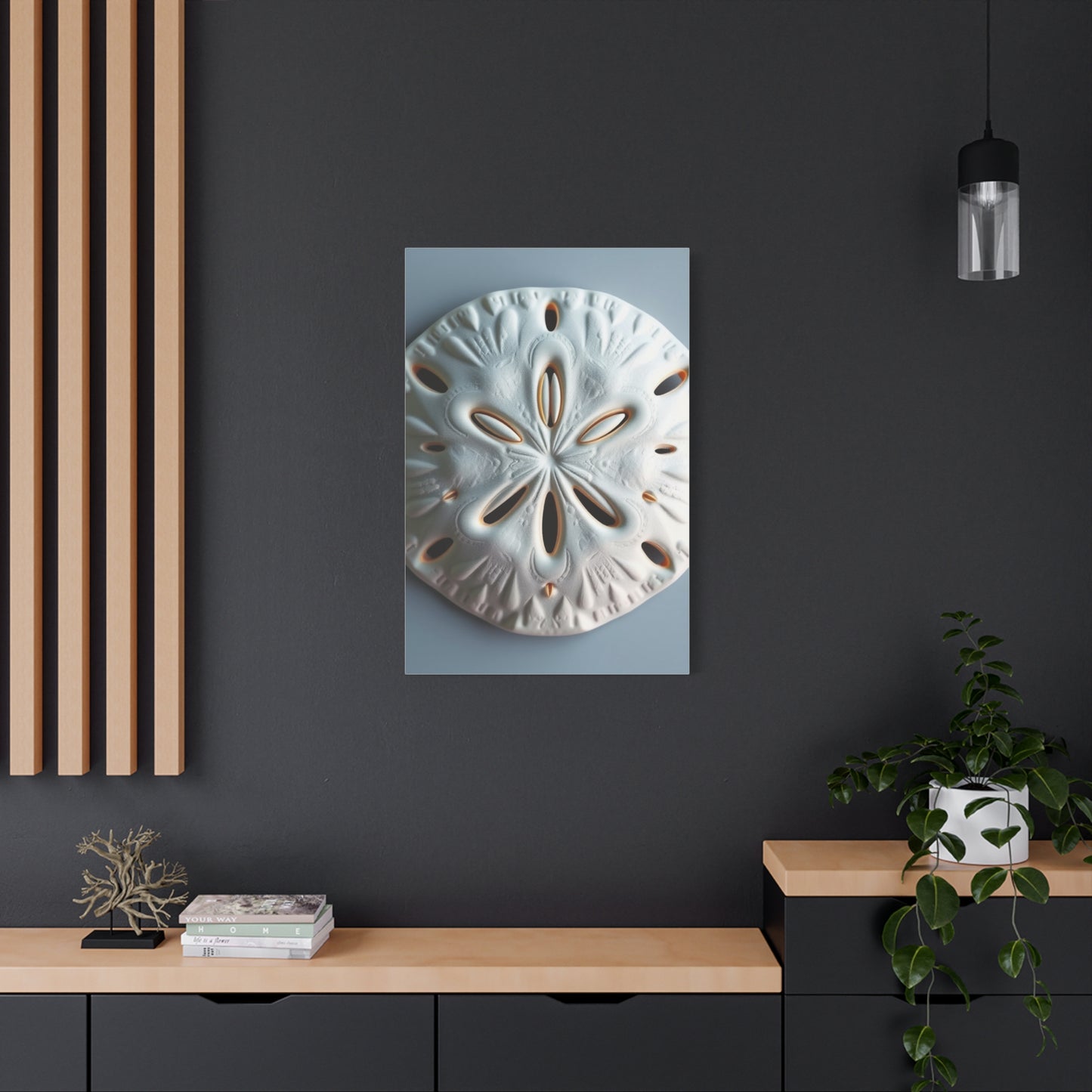 Supreme Sand Dollar Art Collection Wall Art & Canvas Print