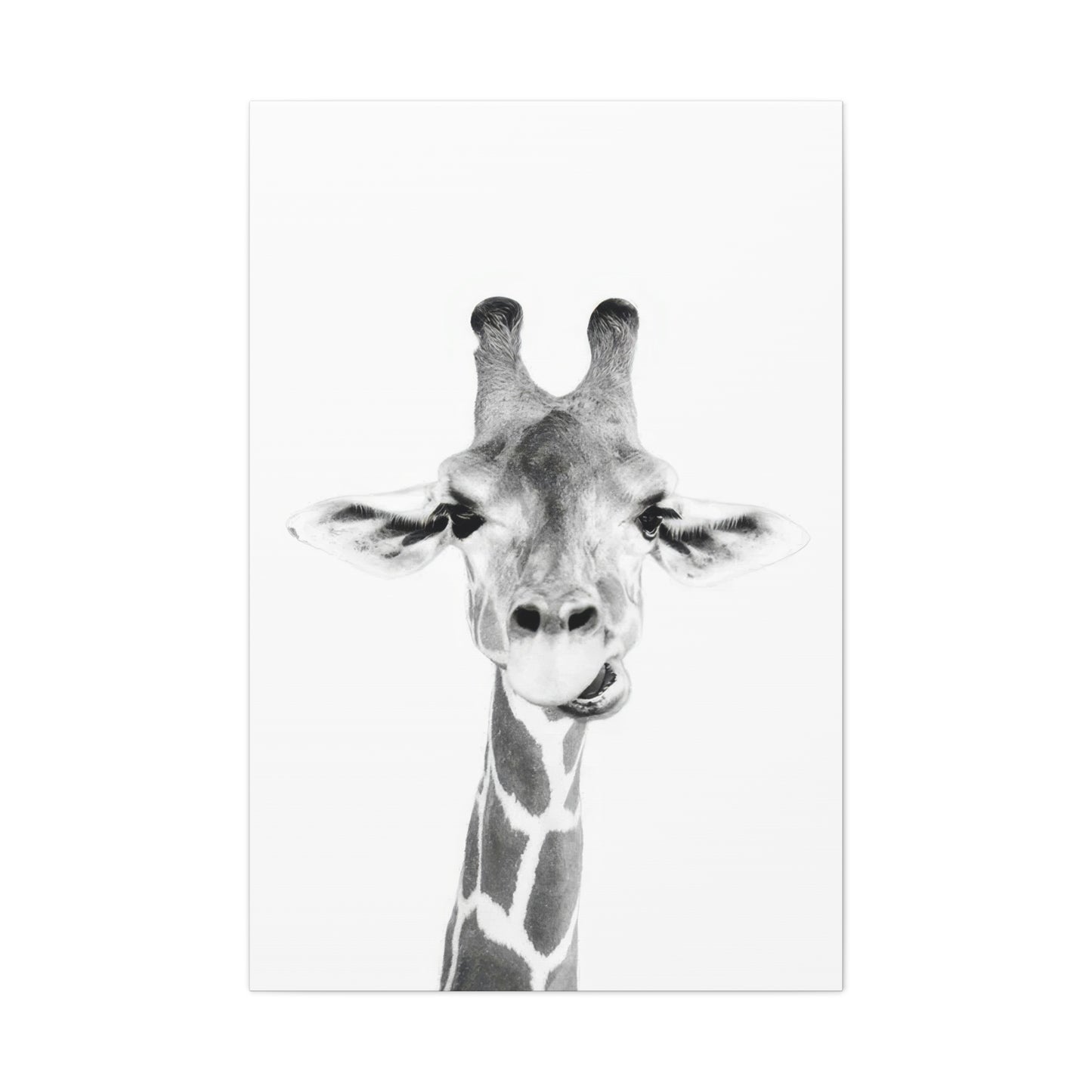 Kathrin Pienaar Baby Giraffe Wall Art & Canvas Prints
