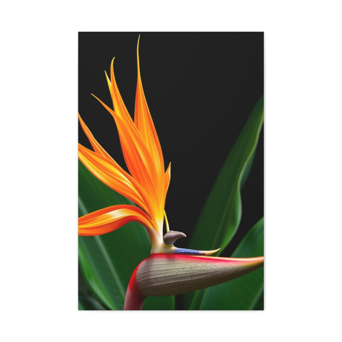 Bird of Paradise Plant Art Refined Canvas Wall Art & Canvas Print