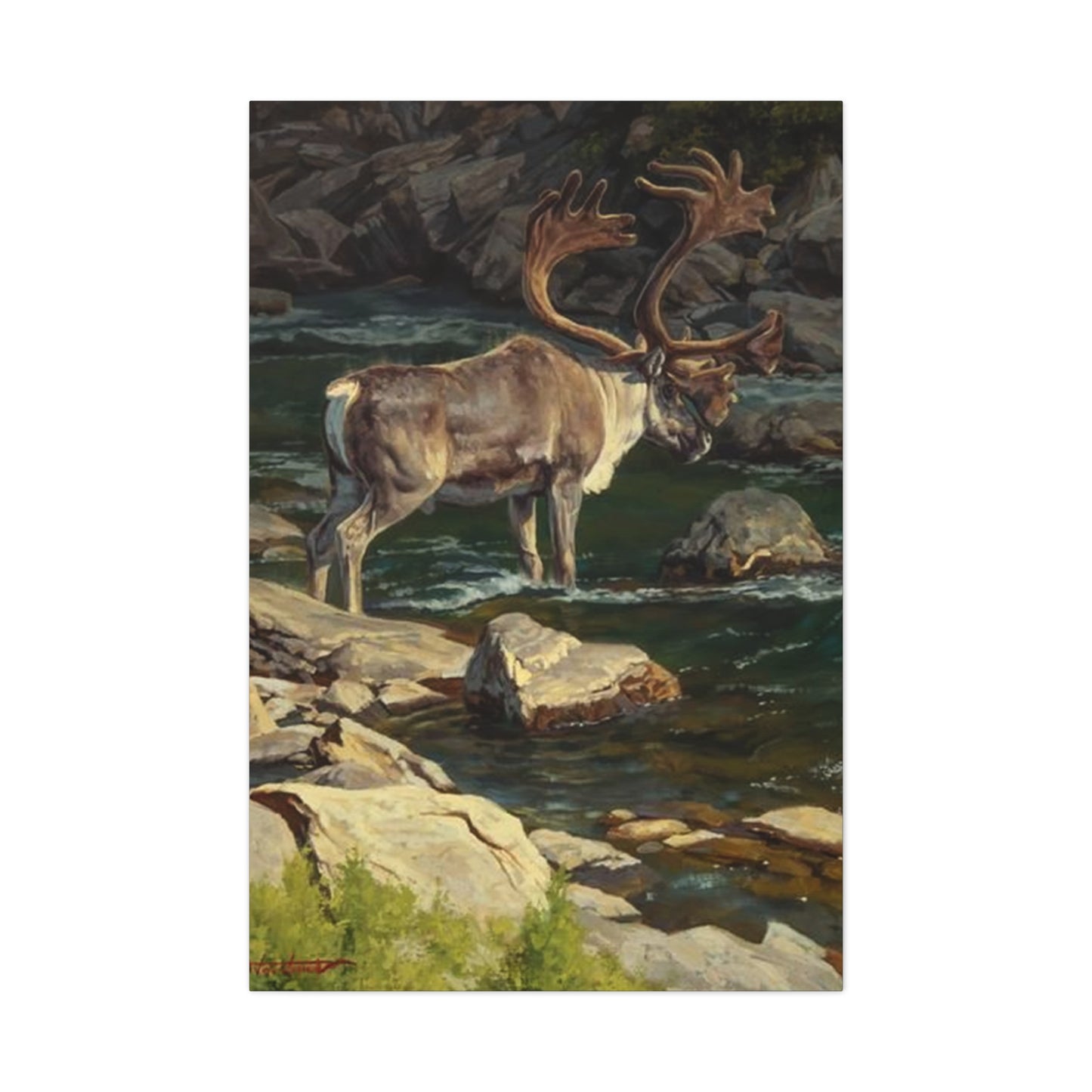 Reindeer Photography Wall Art & Canvas Prints