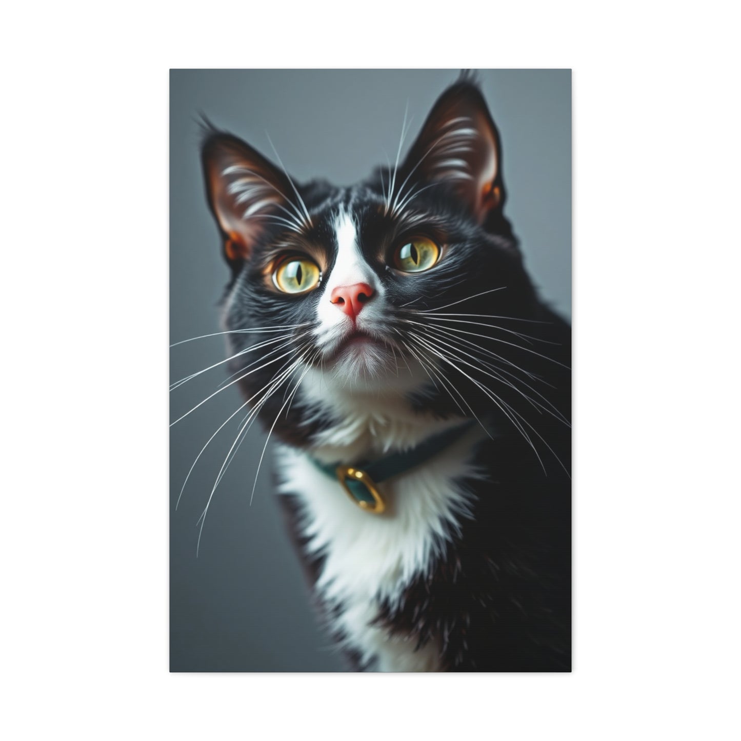 Supreme Tuxedo Cat Art Collection Wall Art & Canvas Print