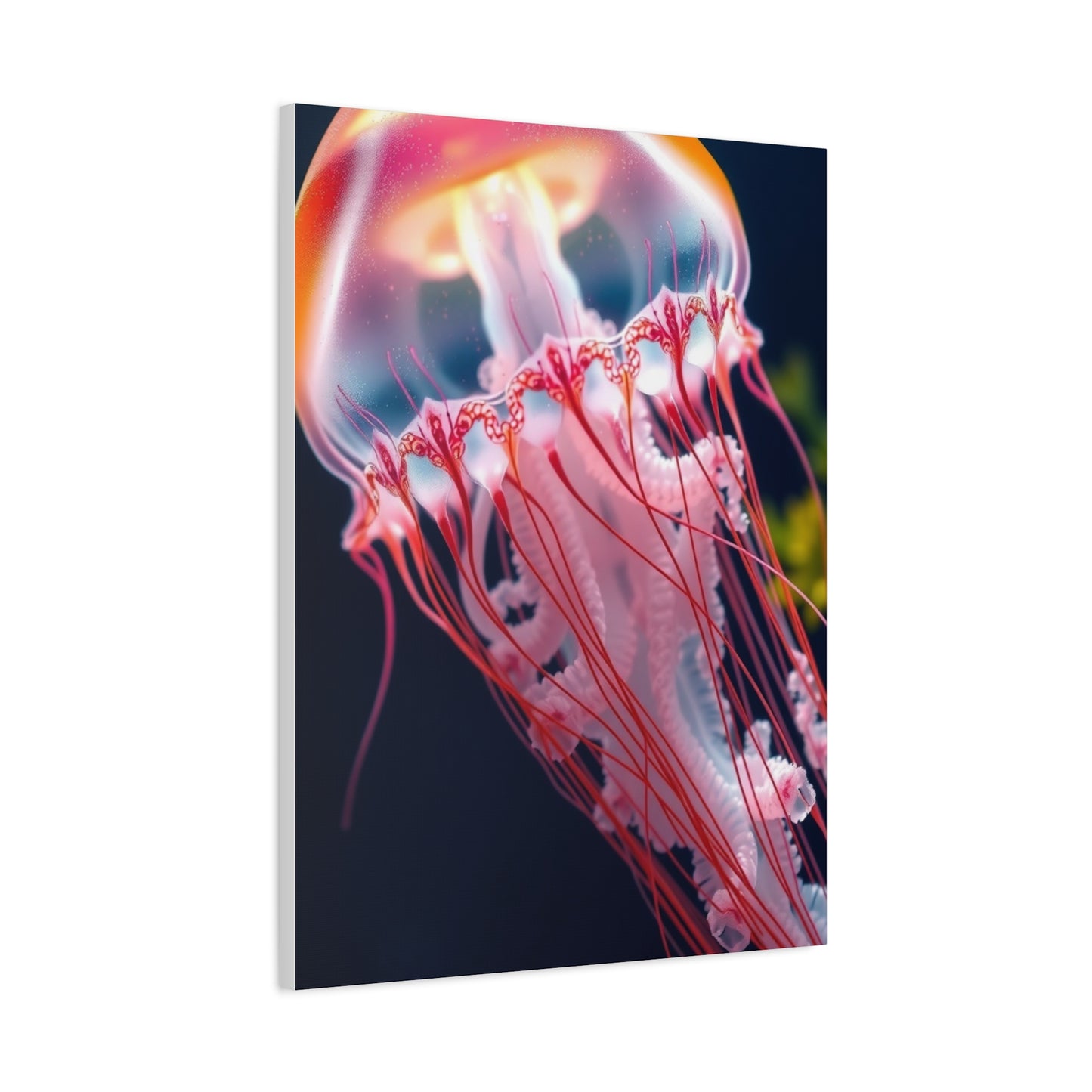 Supreme Jellyfish Art Collection Wall Art & Canvas Print