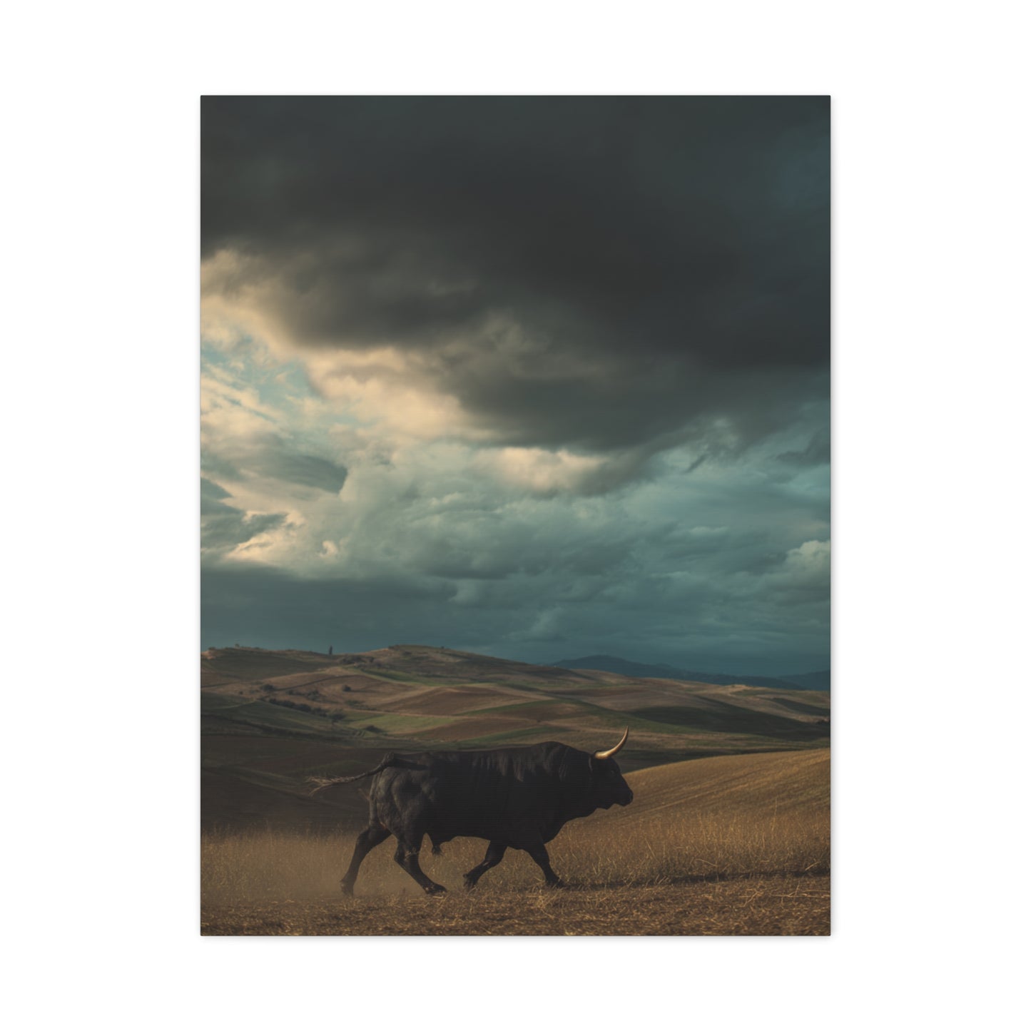 Storm Valley Black Bull Wall Art & Canvas Print