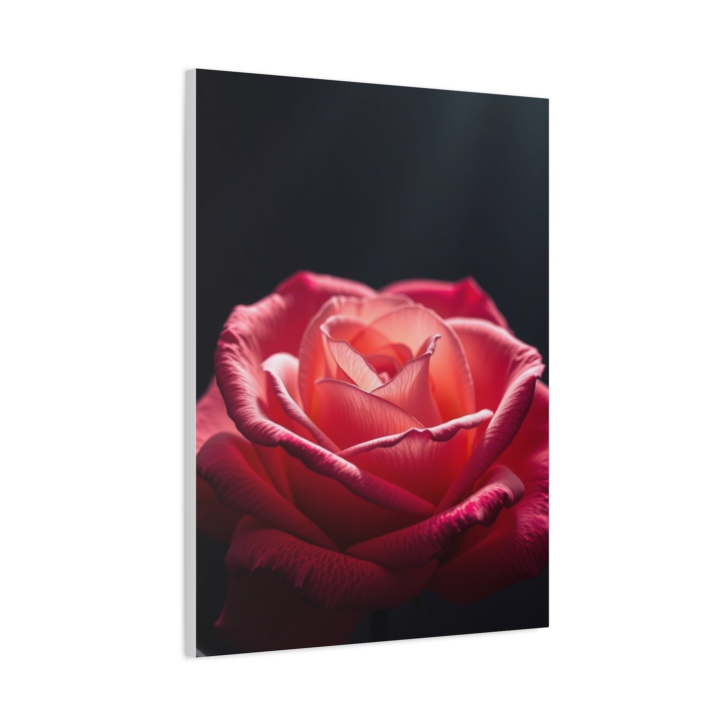 Rose Flower Art Supreme Gallery Wall Art & Canvas Print