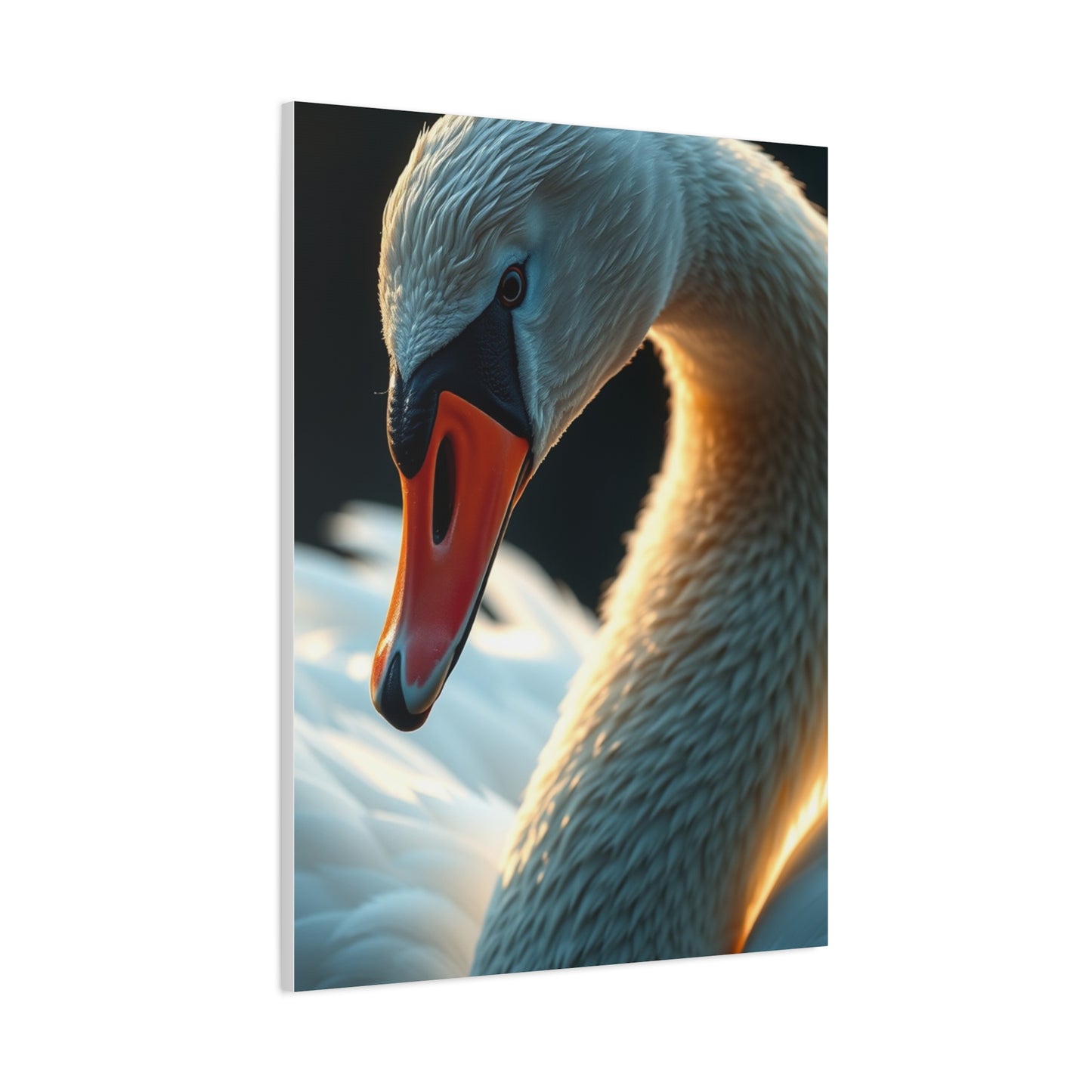 Supreme Swan Art Collection Wall Art & Canvas Print