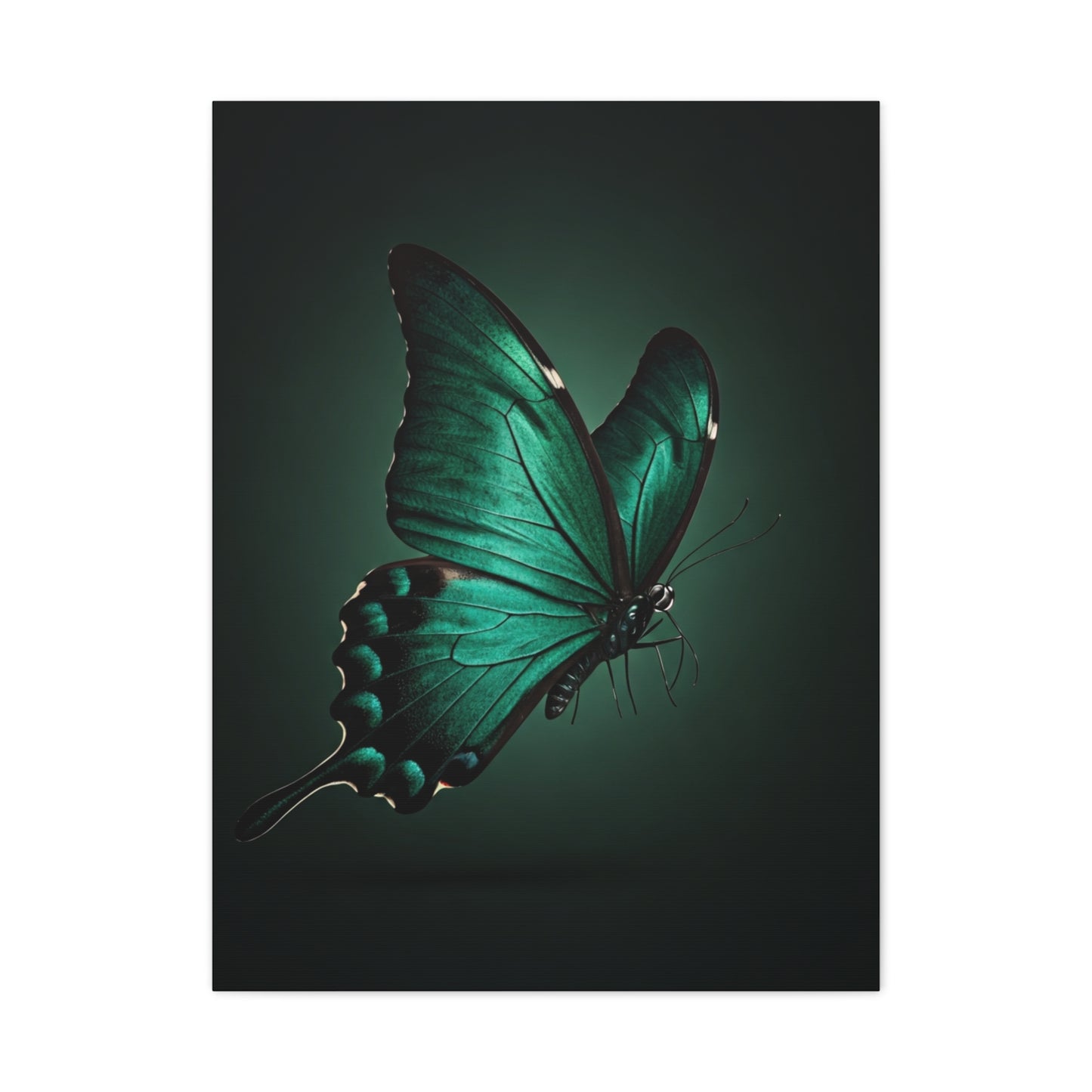 Emerald Swallowtail Butterfly in Shadow Light Wall Art & Canvas Prints